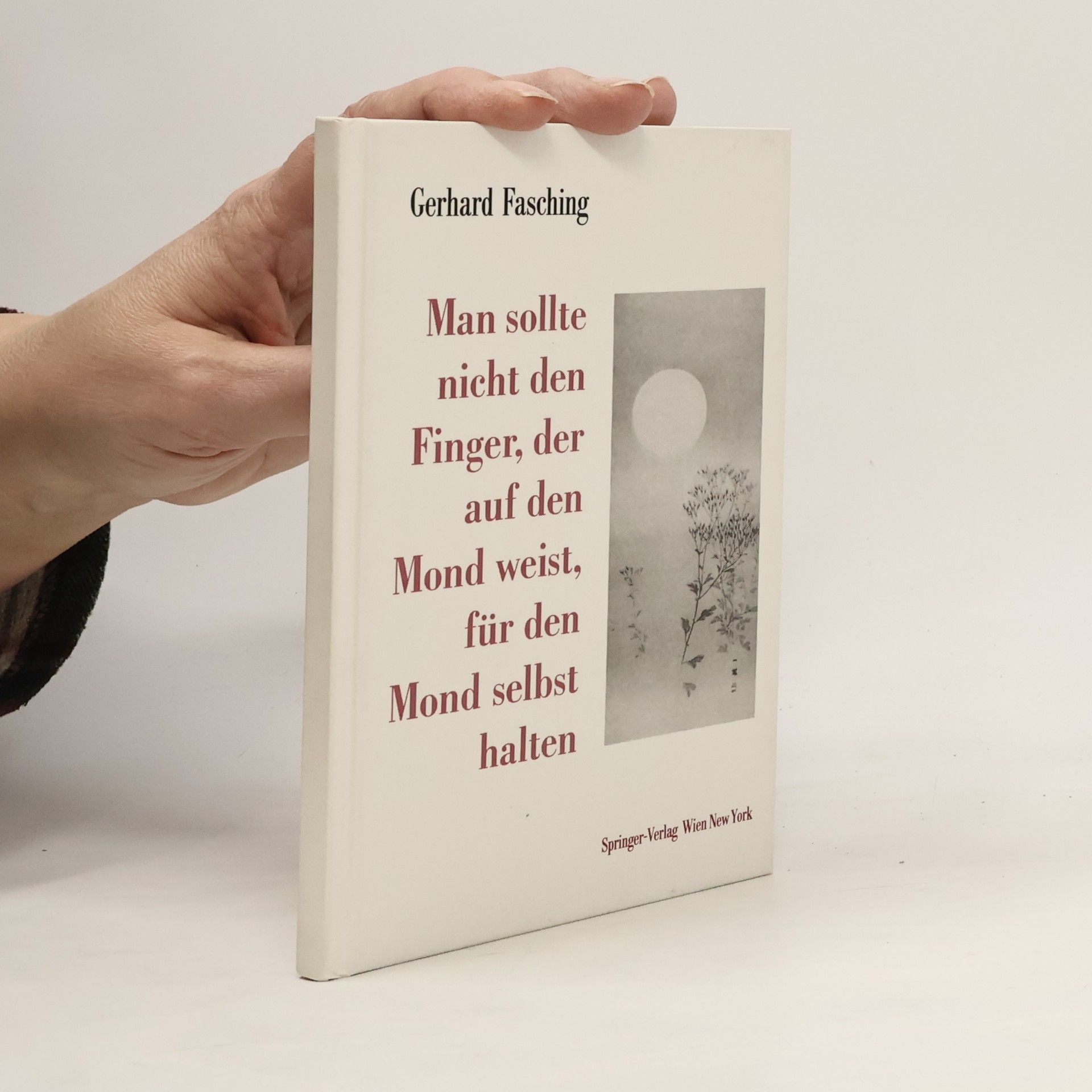 Man sollte nicht den Finger, der auf den Mond weist, für den Mond selbst halten