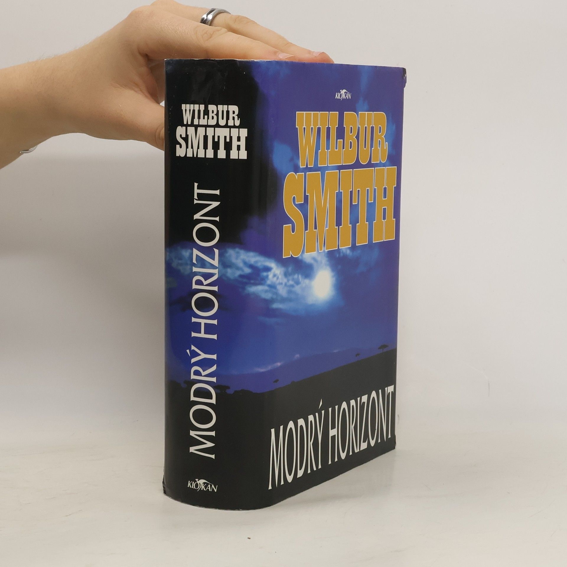 Wilbur Smith Modrý horizont