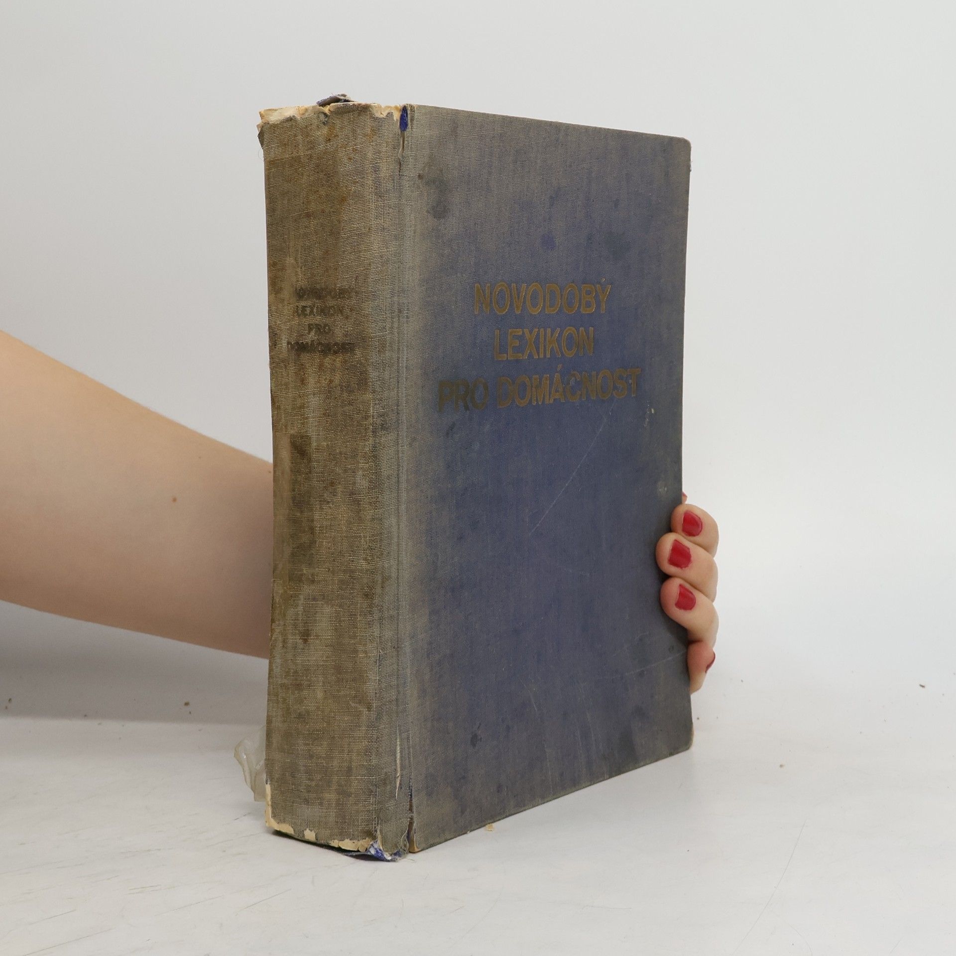 T. Guglmayrová Novodobý lexikon pro domácnost