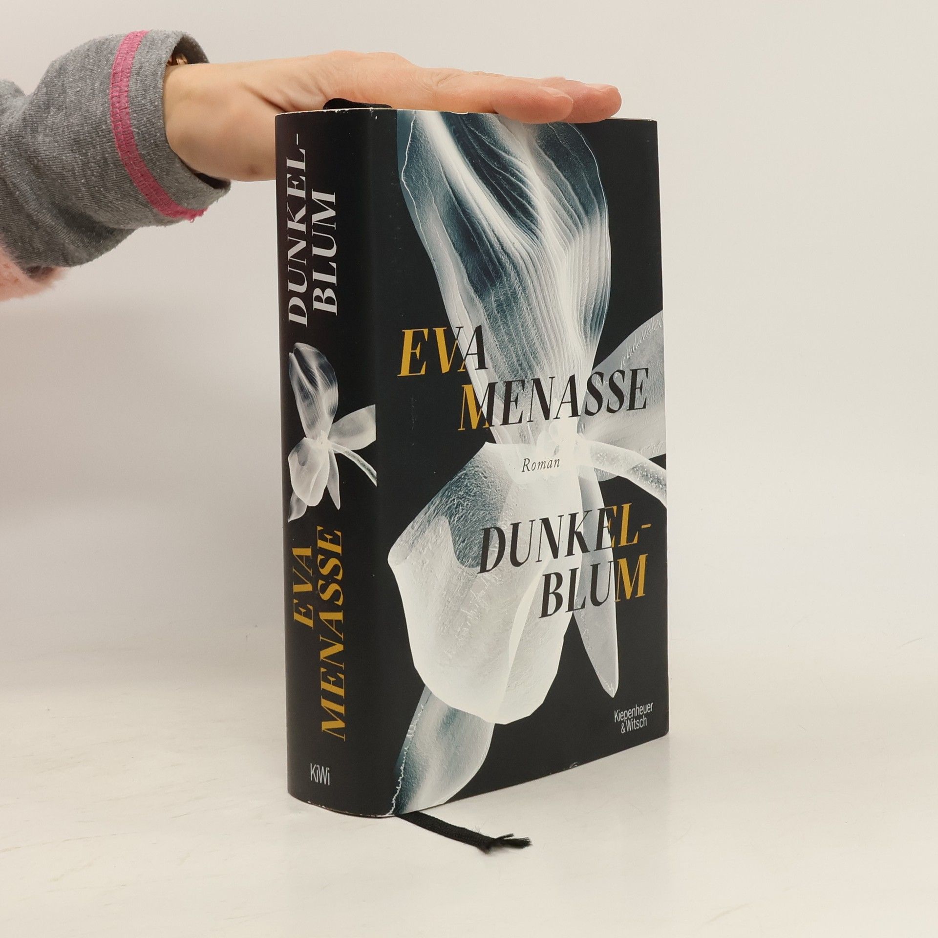 Eva Menasse Dunkelblum