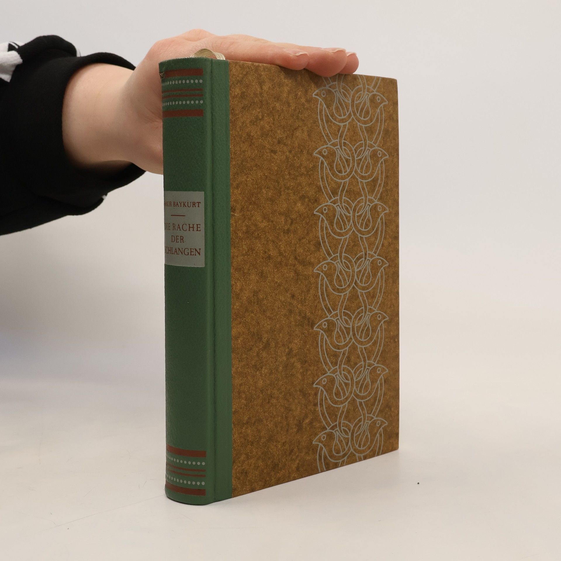 Fakir Baykurt Die Rache der Schlangen
