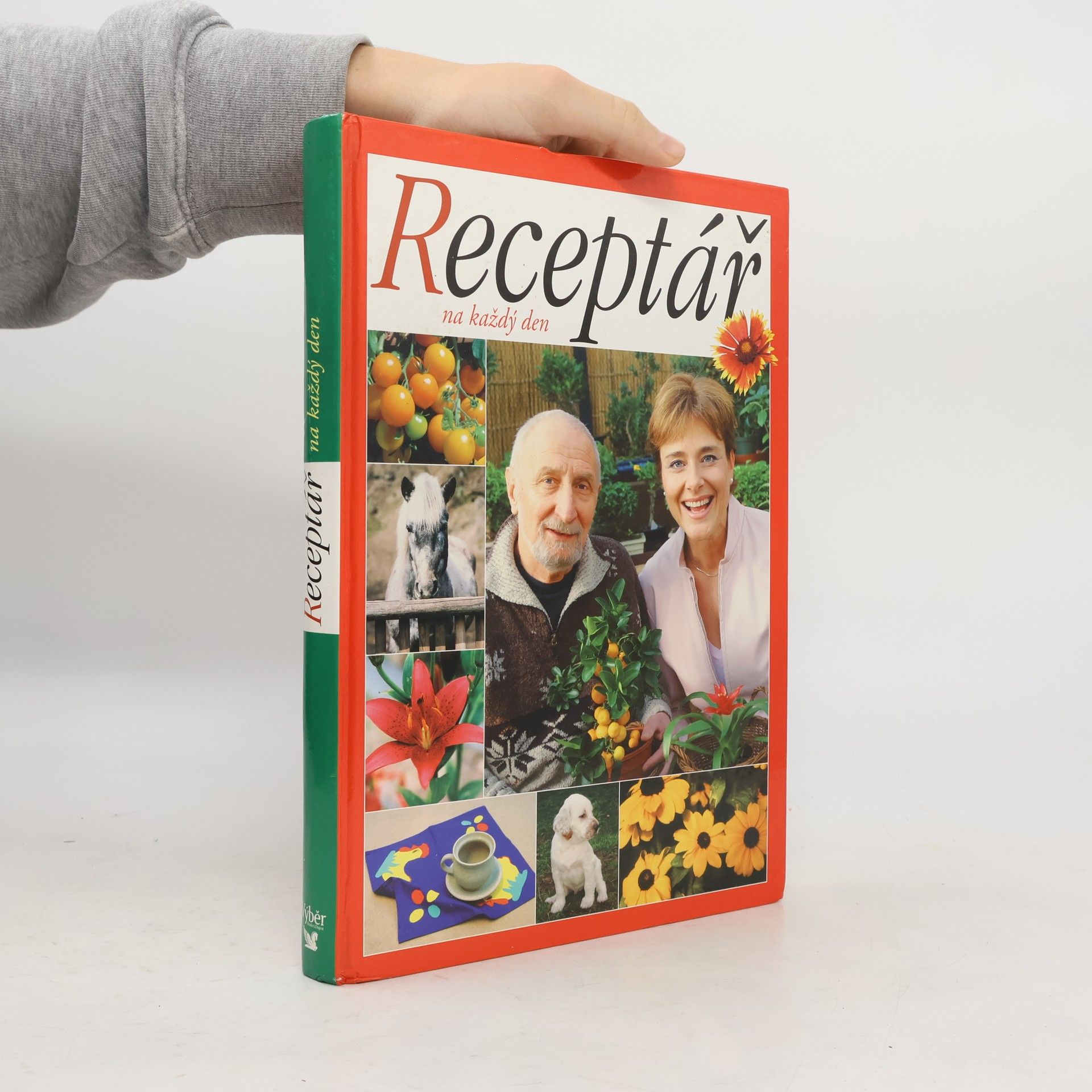 Autores varios Receptář na každý den