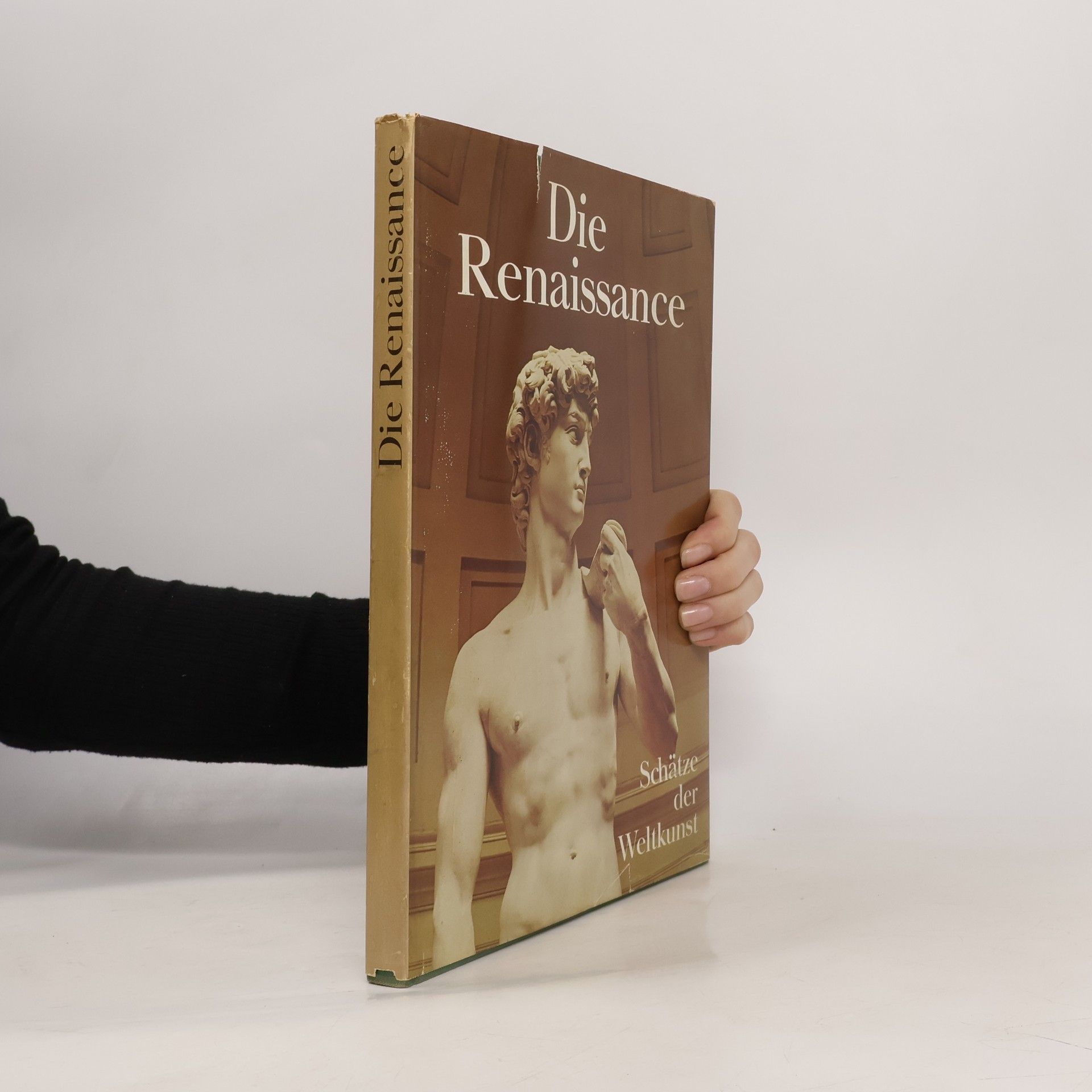 Autorenkollektiv Die Renaissance