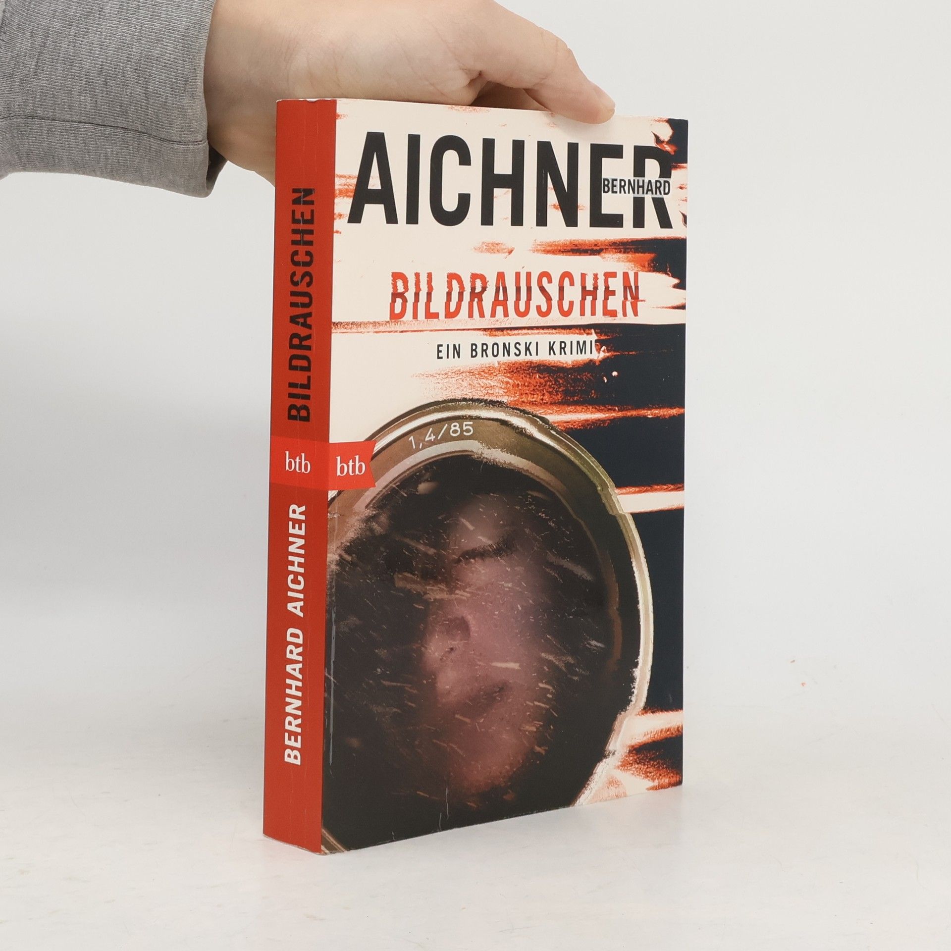 Bernhard Aichner Bildrauschen