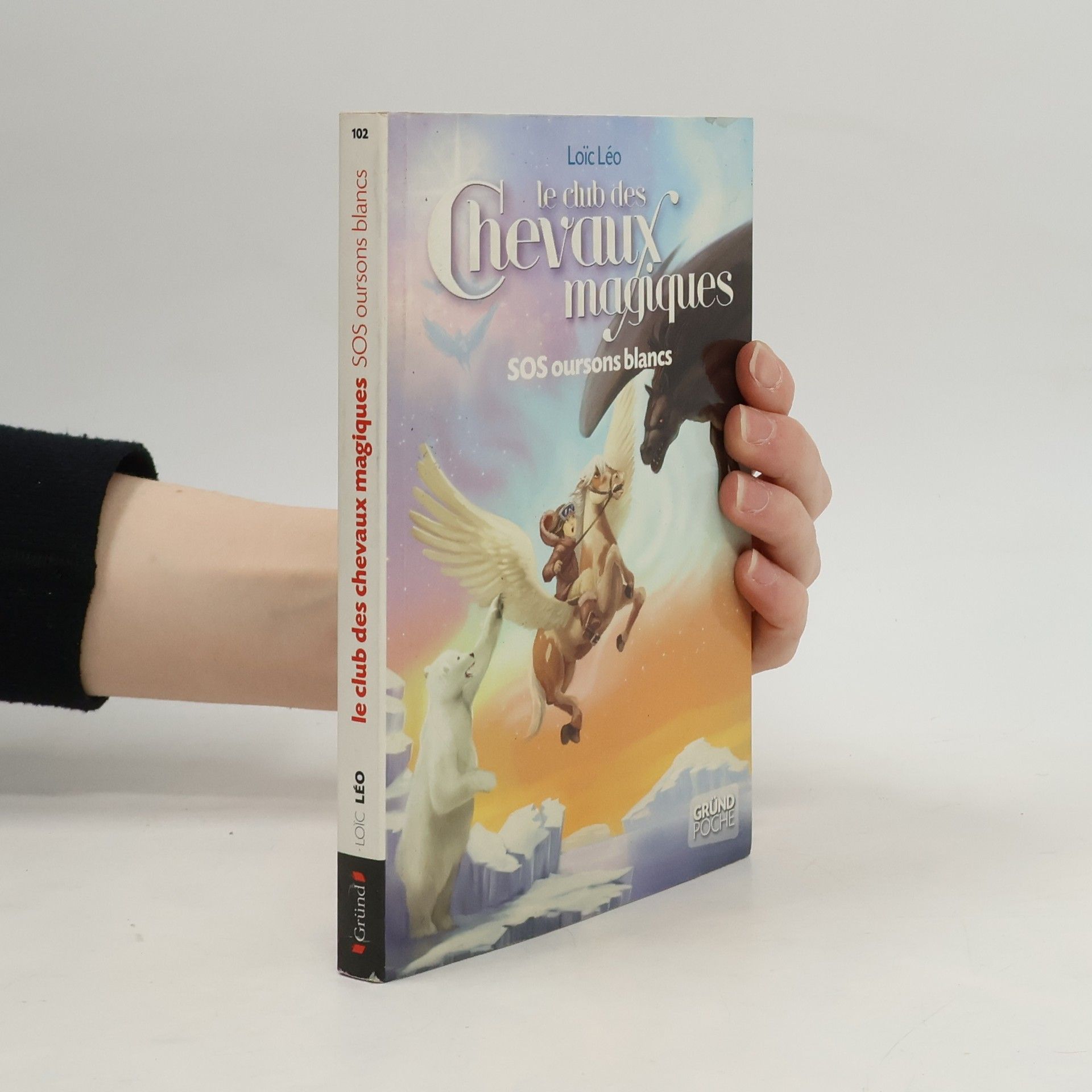 Loïc Léo Le club des chevaux magiques tome 2 sos oursons blancs