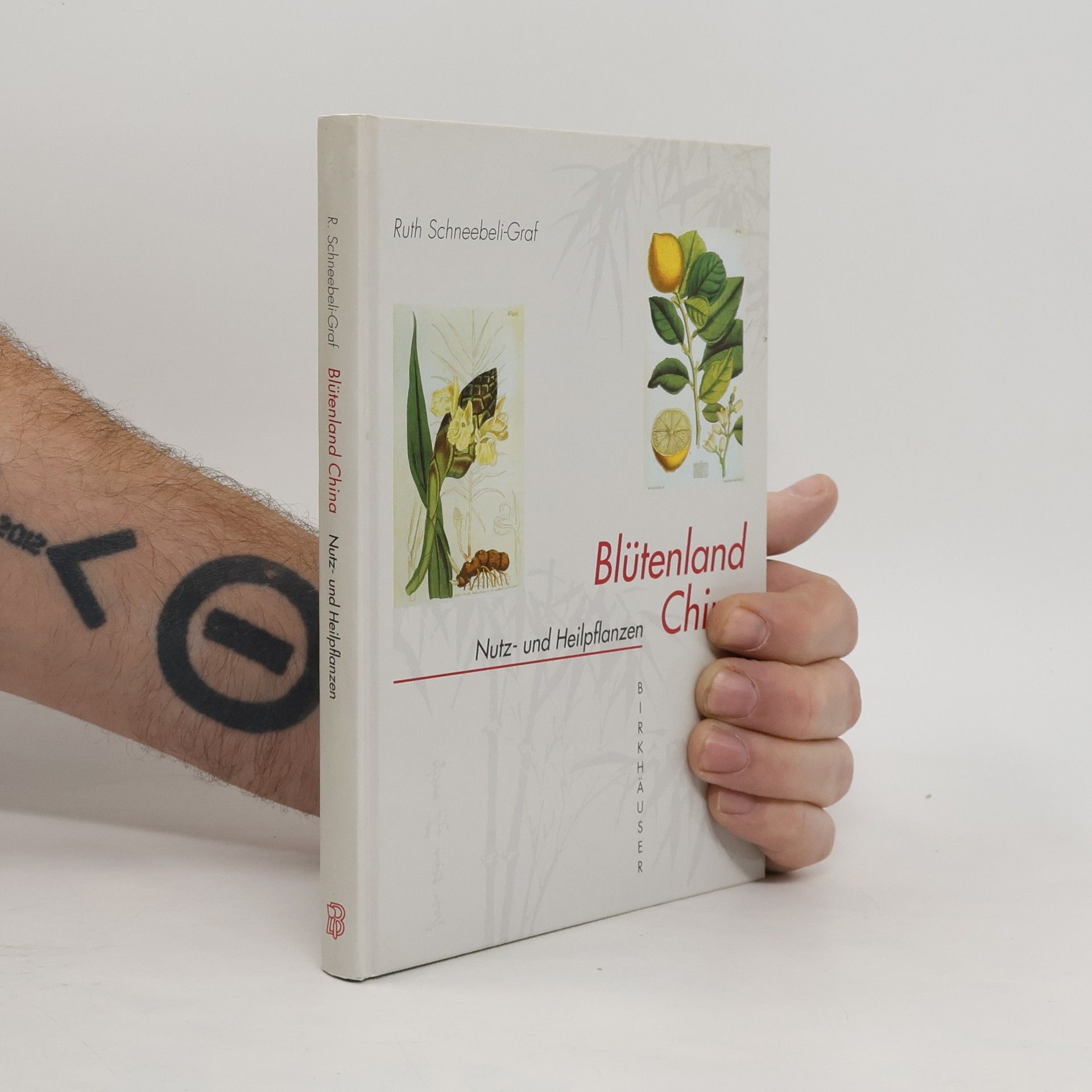 Ruth Schneebeli Graf Blütenland China - Botanische Berichte und Bilder