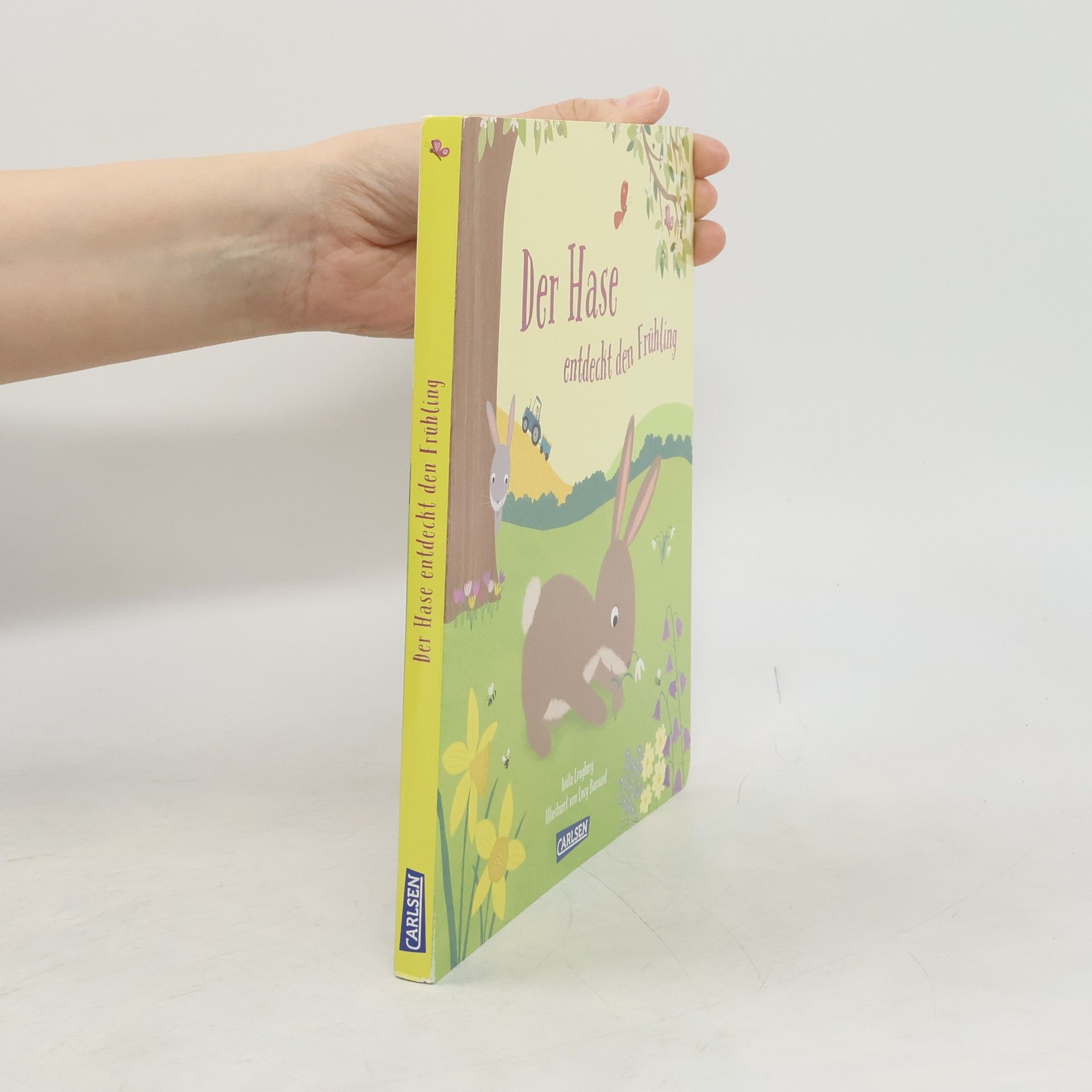 Der Hase entdeckt den Frühling