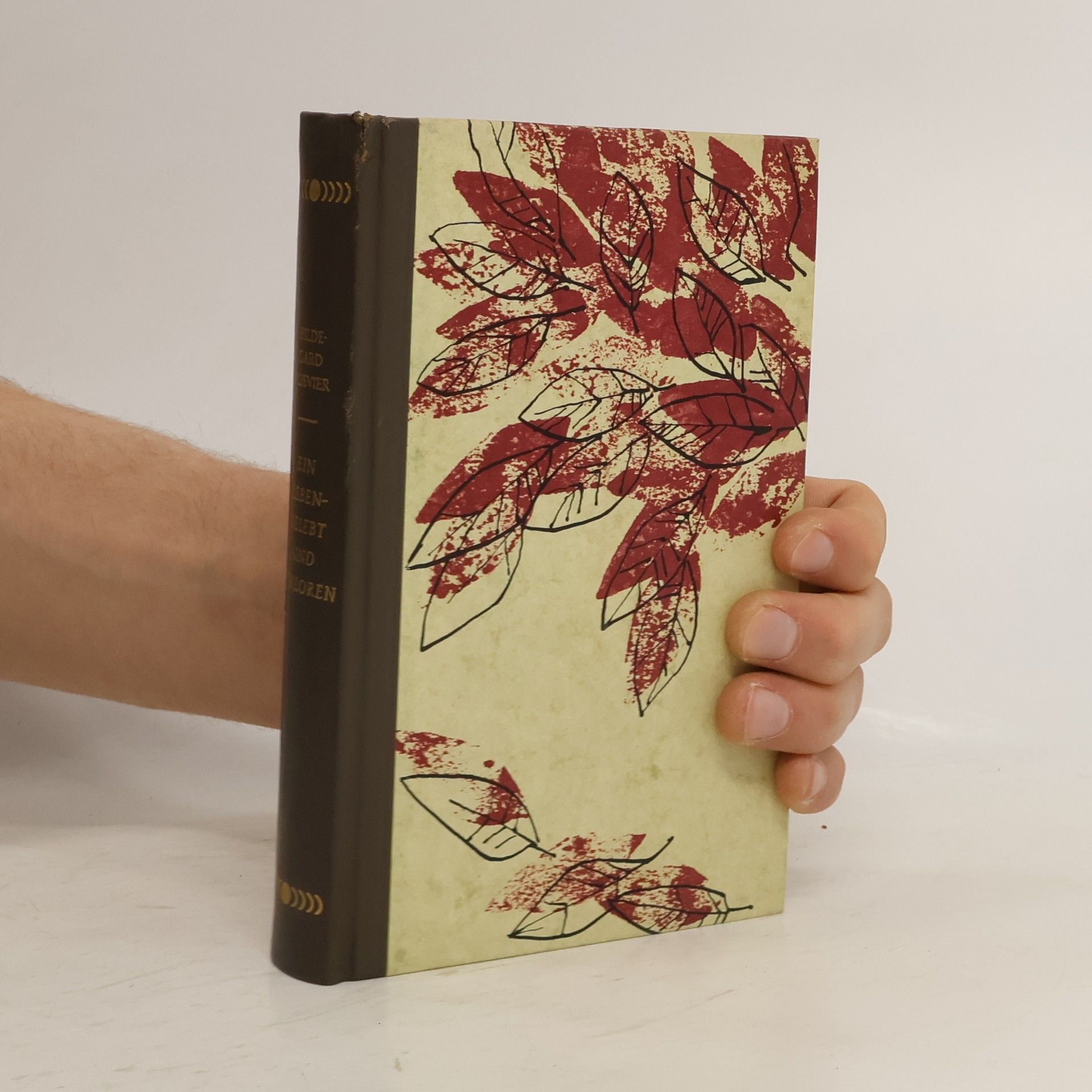 Hildegard Plievier Ein leben-gelebt und Verloren