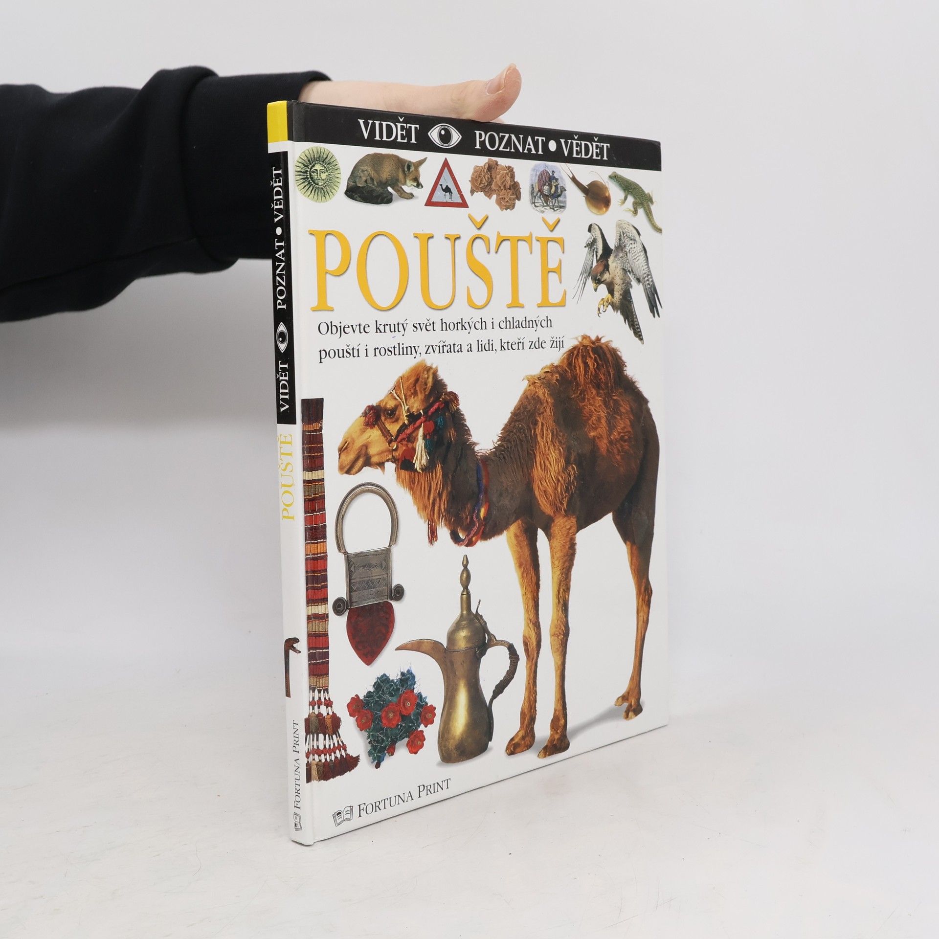 Miranda MacQuitty Pouště