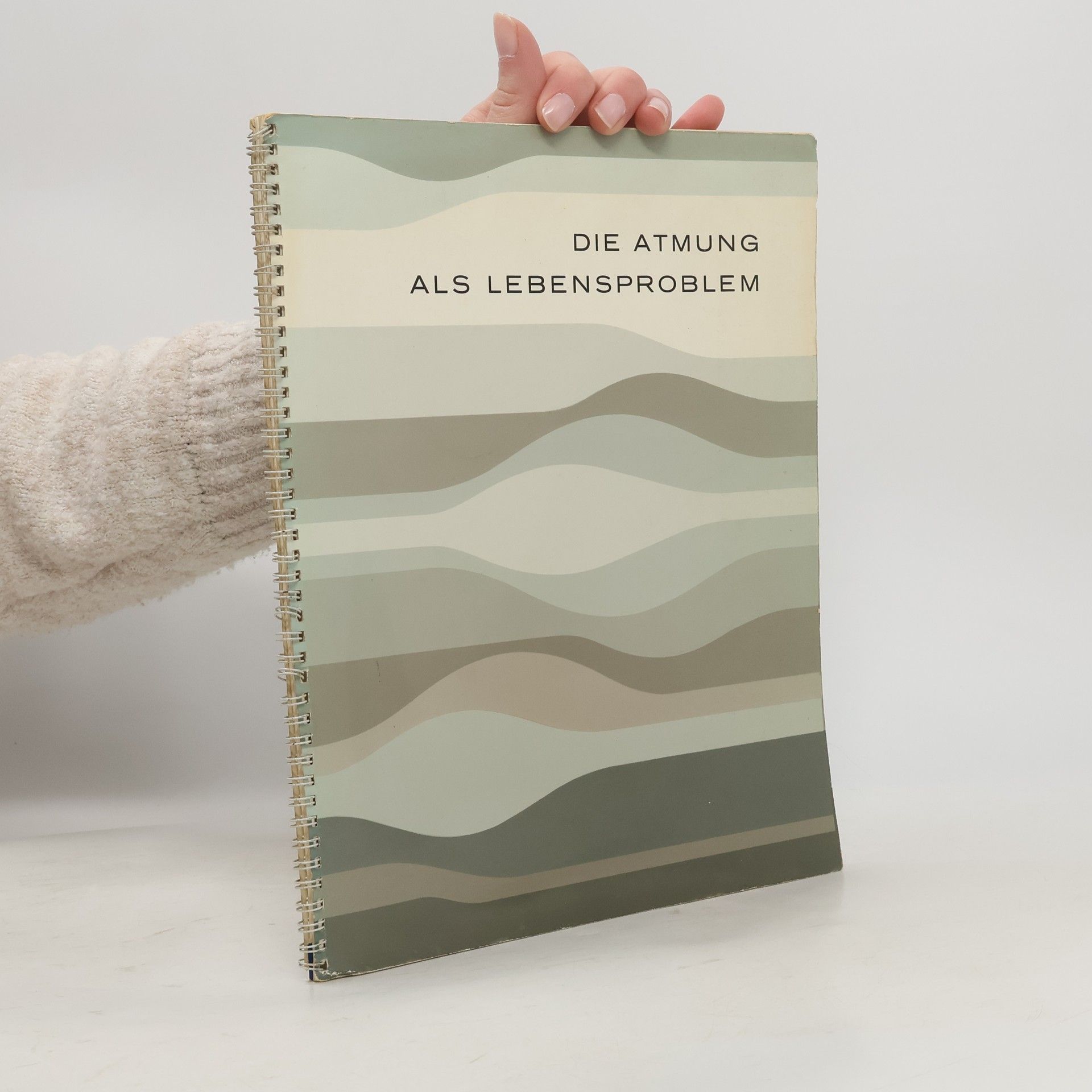 Autorenkollektiv Die Atmung als Lebensproblem