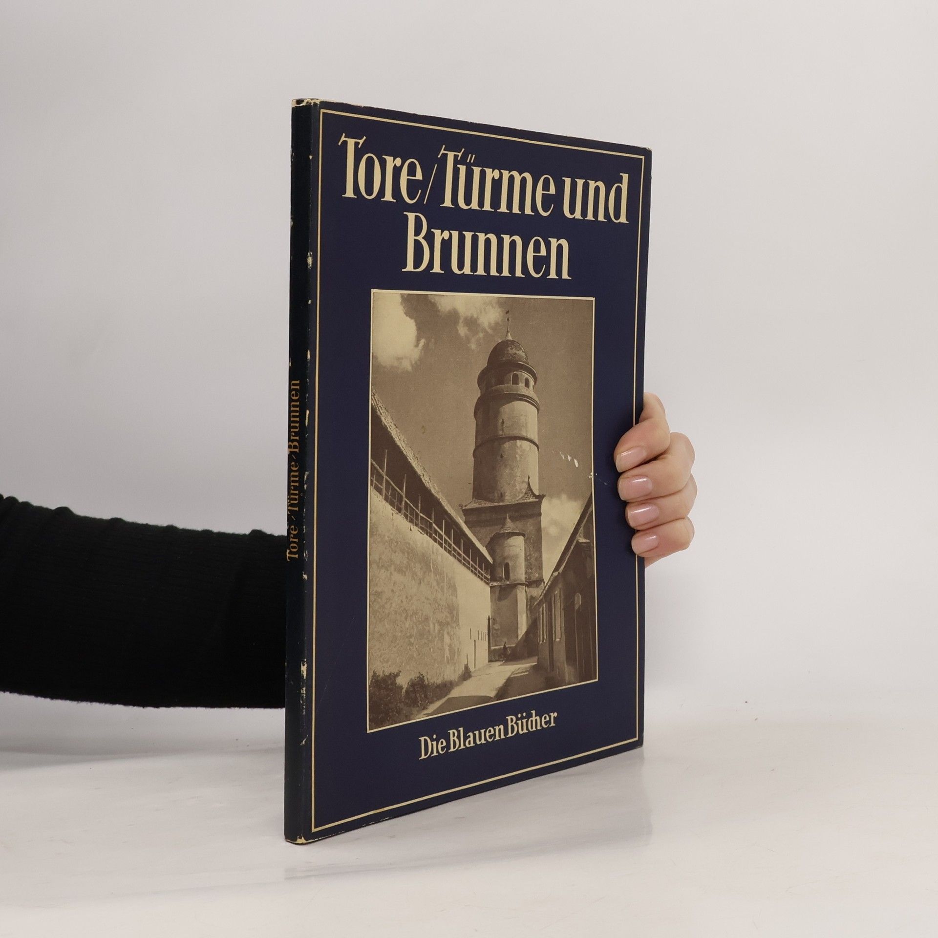 Karl Robert Langewiesche Tore, Türme und Brunnen