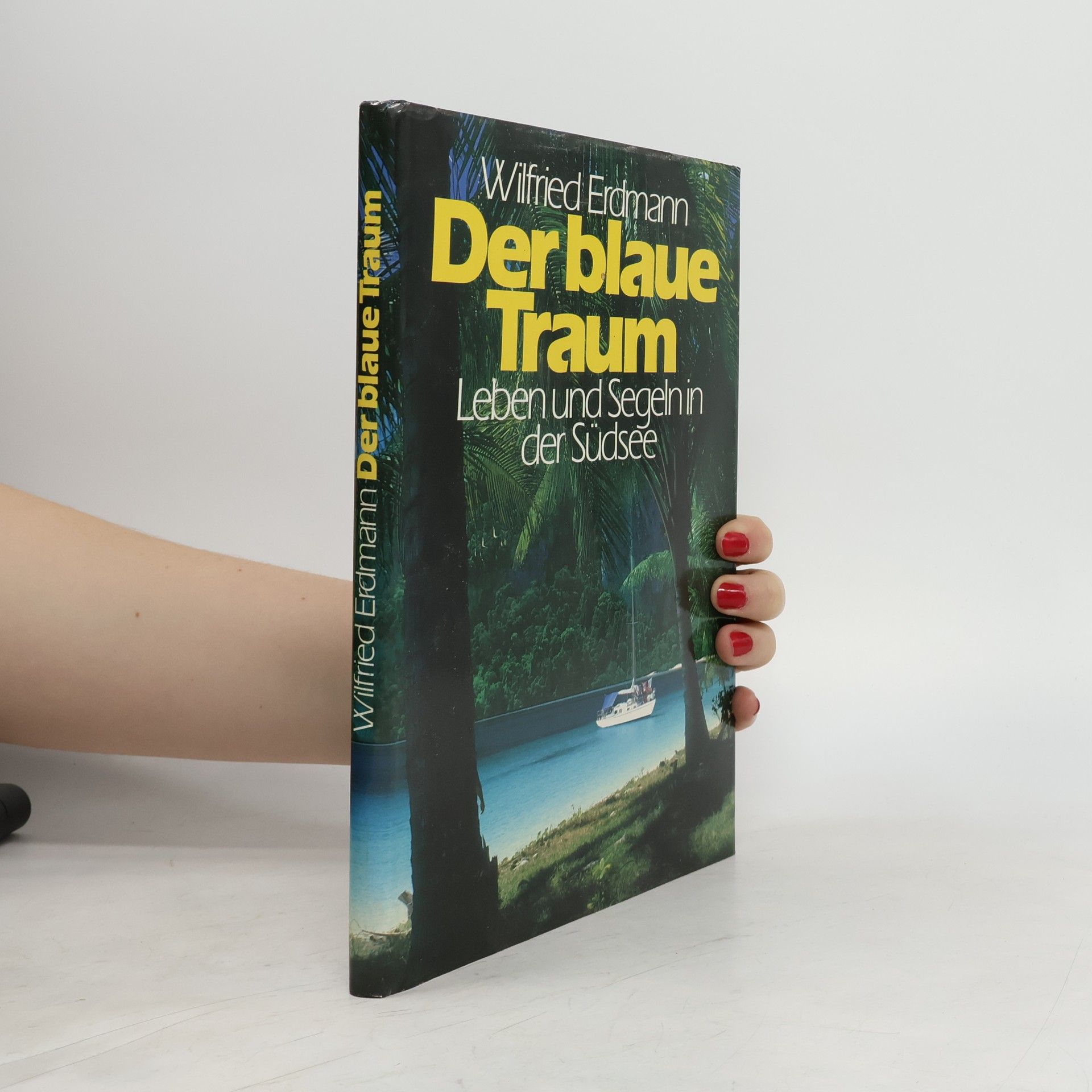 Wilfried Erdmann Der blaue Traum