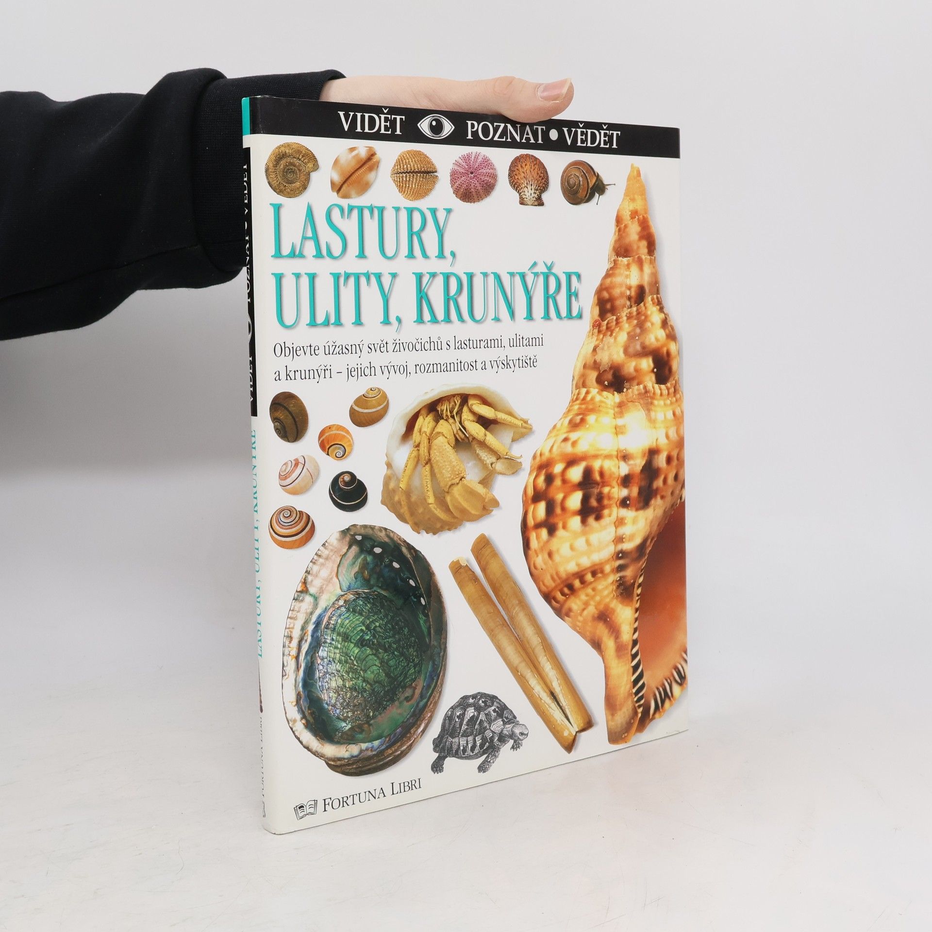 Alex Arthur Lastury, ulity, krunýře