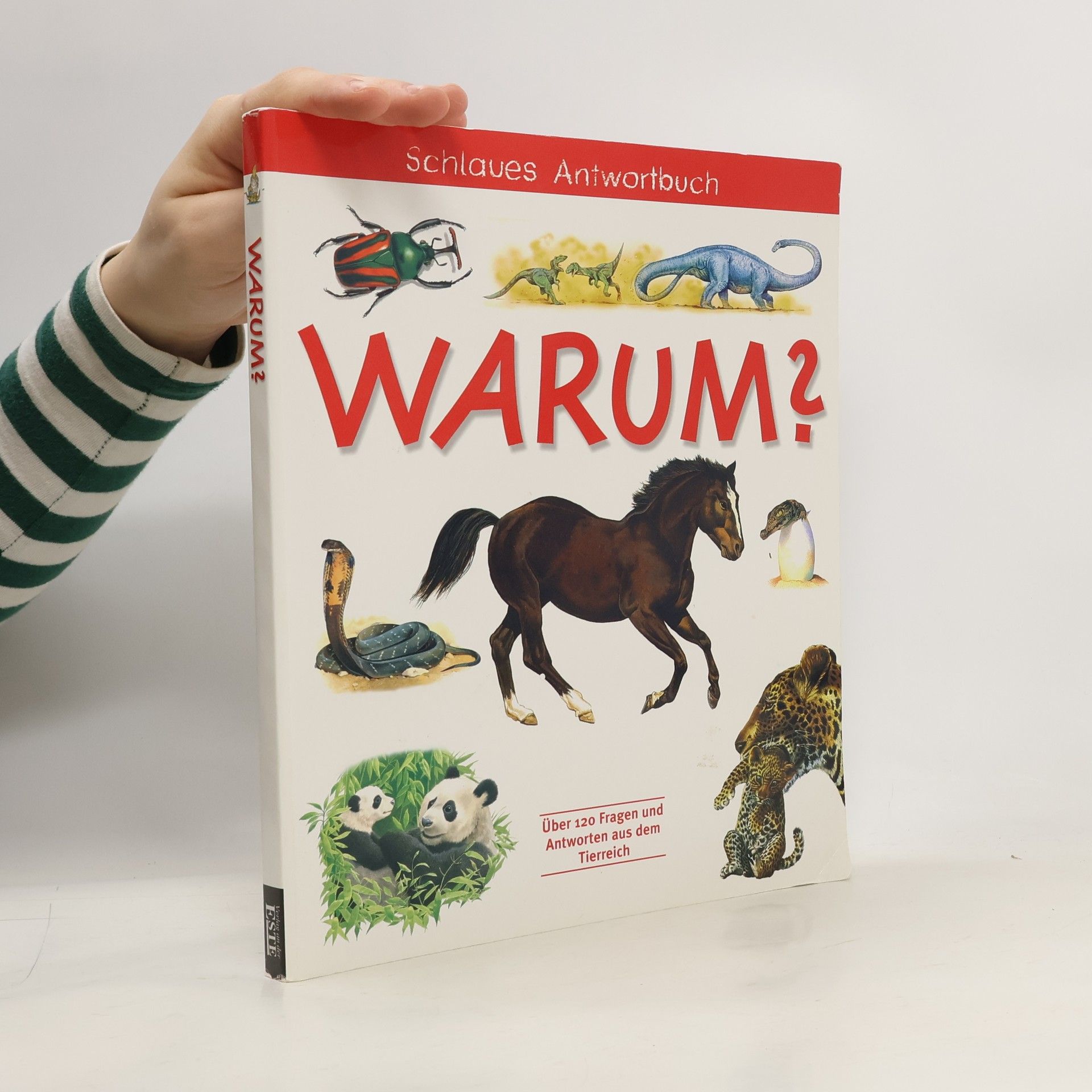 Kolektív autorov Warum?