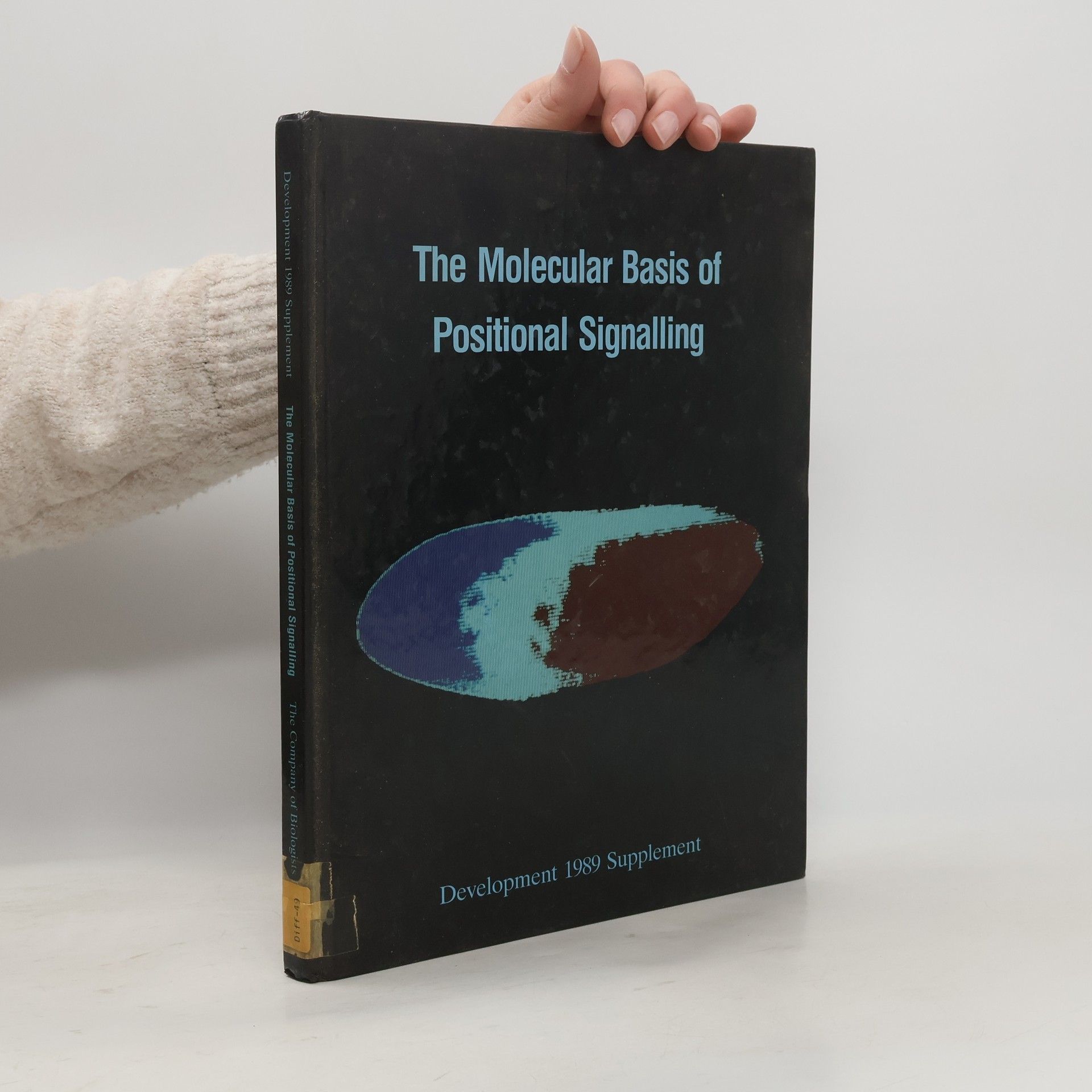 Rob Kay The Molecular Basis of Positional Signalling