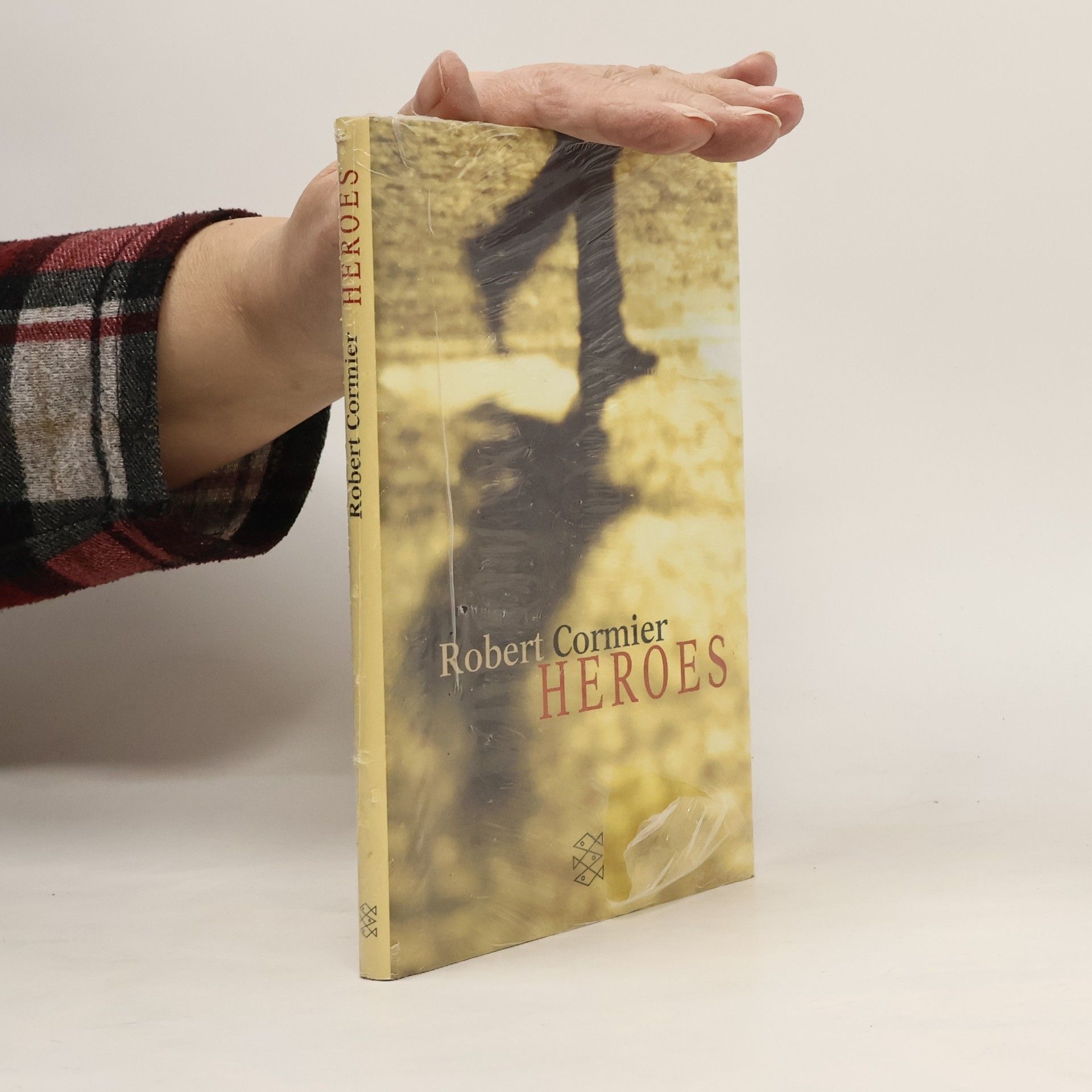 Robert Cormier Heroes