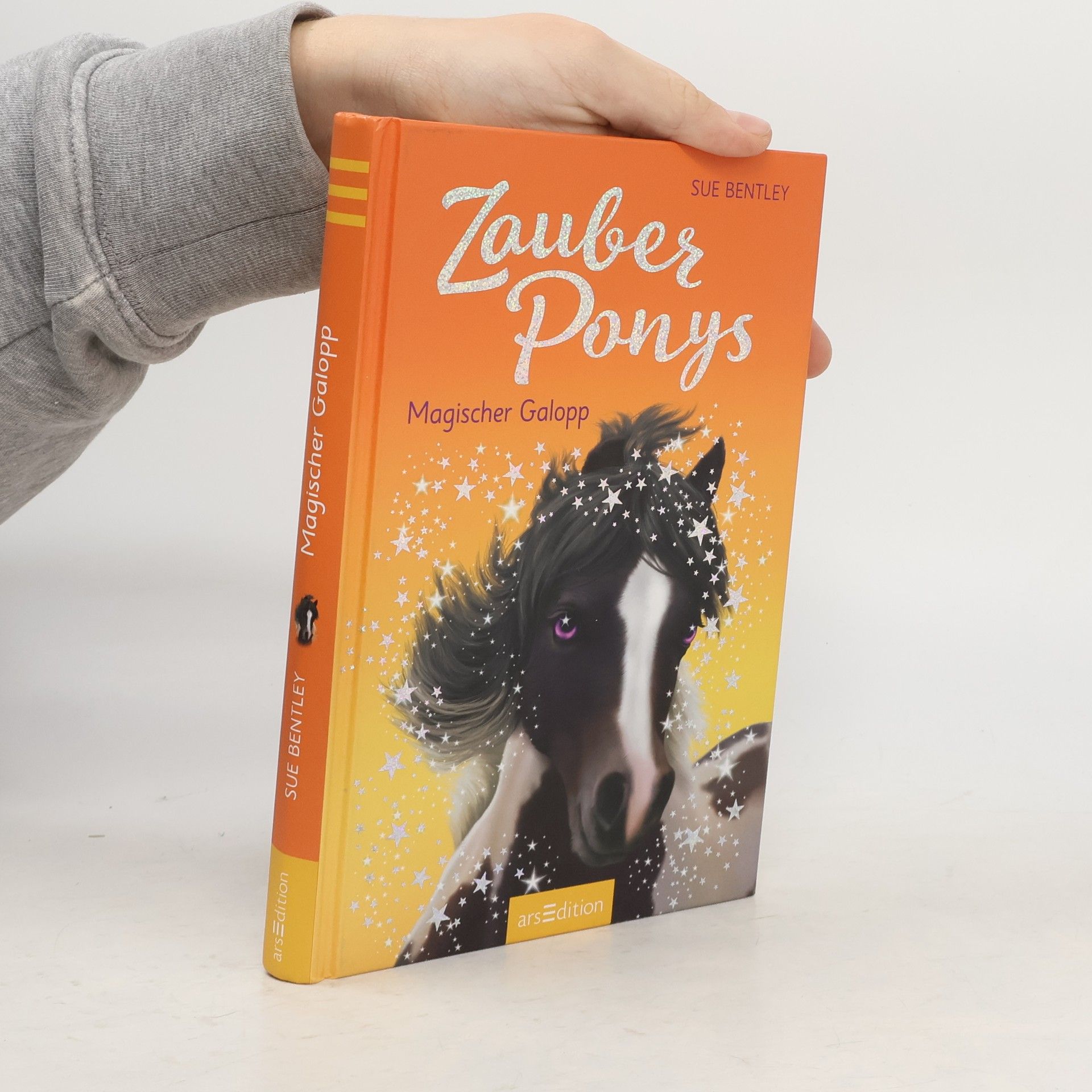 Sue Bentley Zauberponys - magischer Galopp