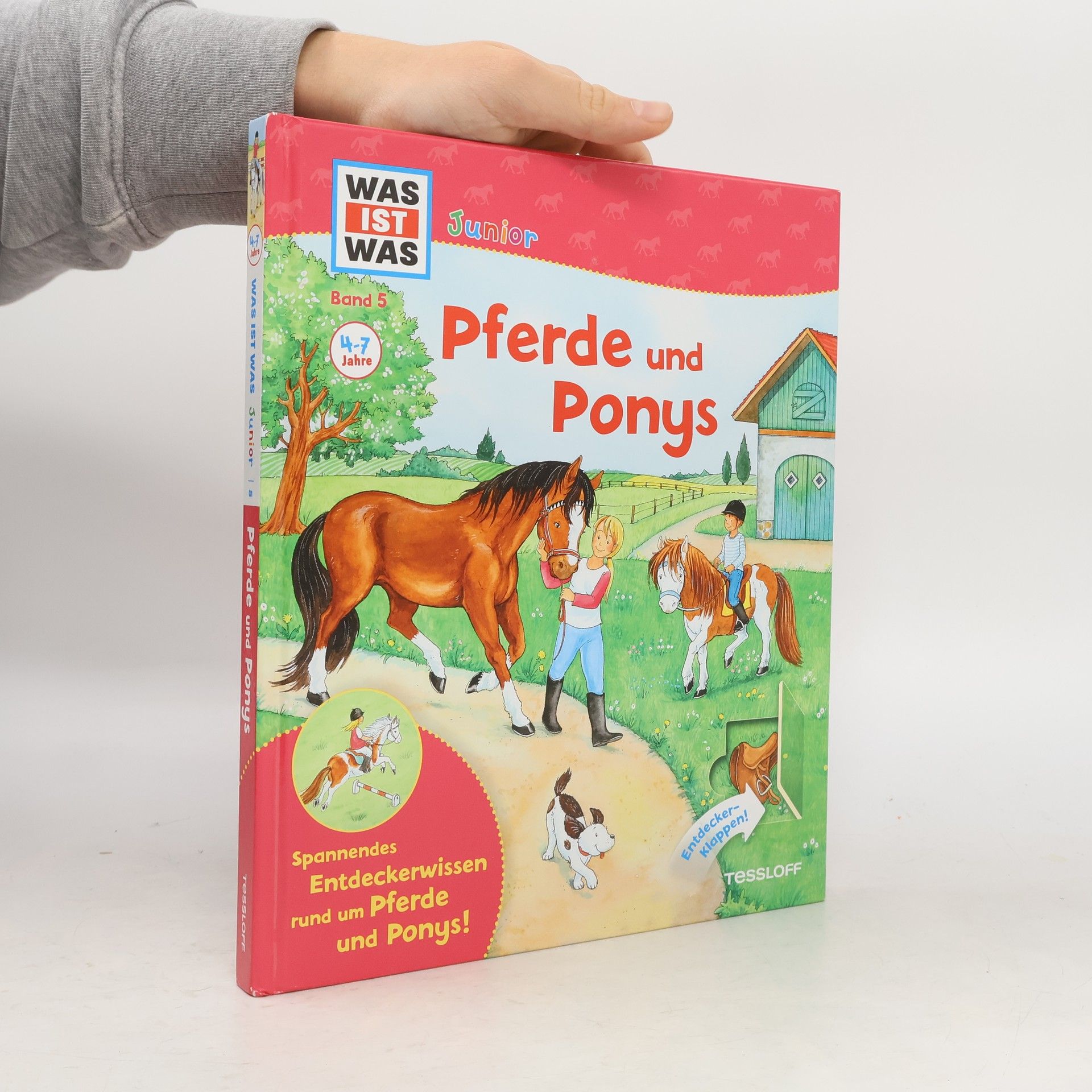 Pferde und Ponys