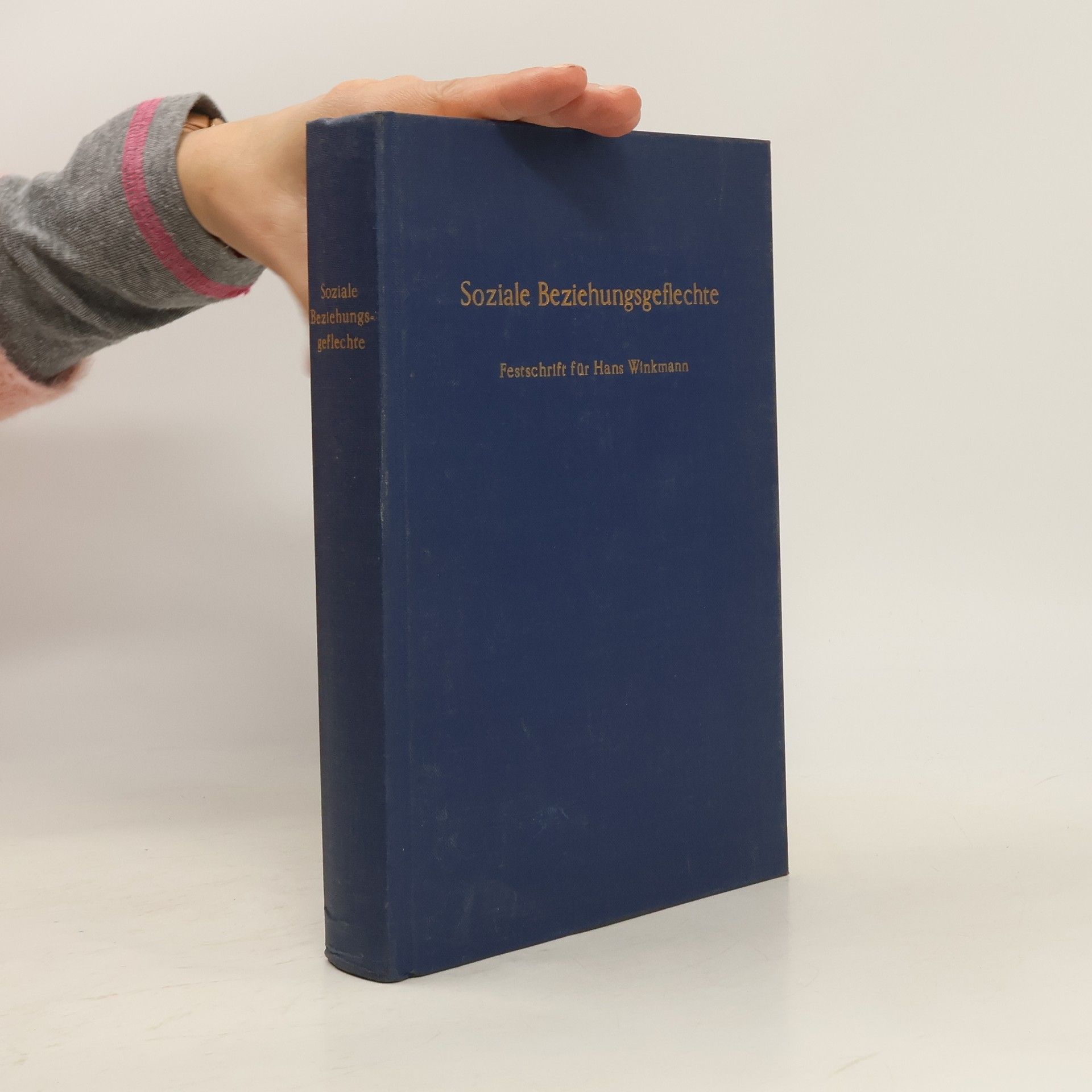 Harald Niemeyer Soziale Beziehungsgeflechte