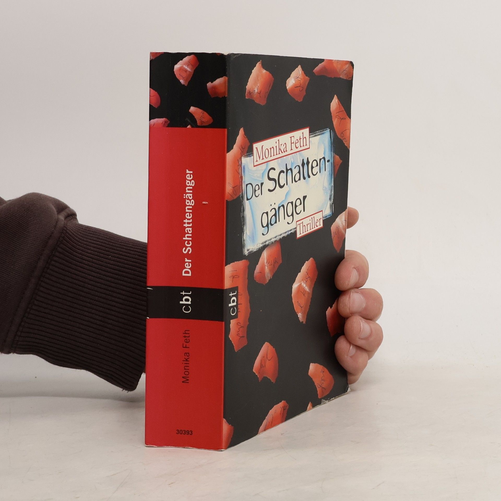 Monika Feth Der Schattengänger
