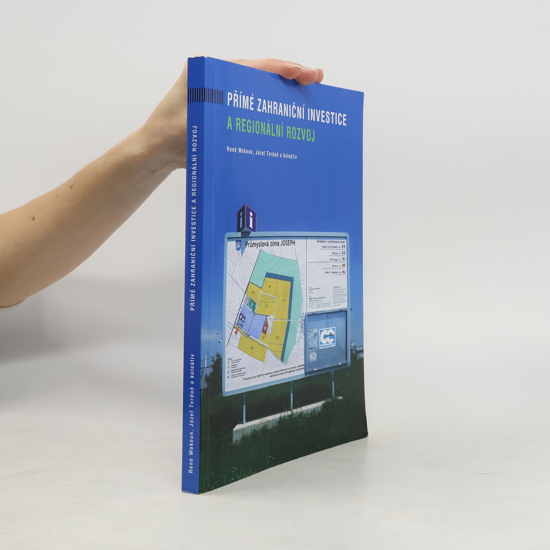 Přímé zahraniční investice a regionální rozvoj