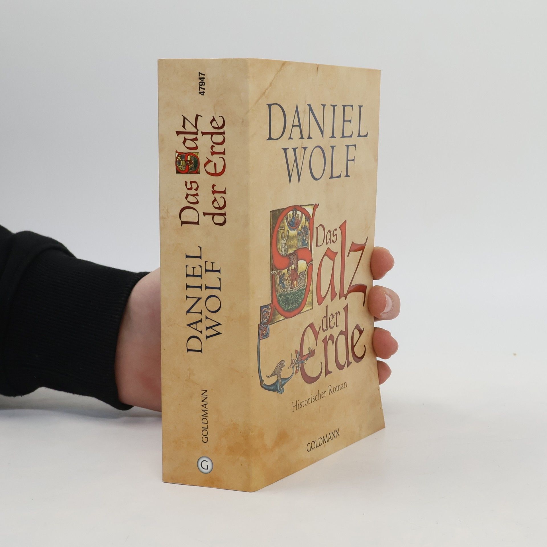 Daniel Wolf Das Salz der Erde : historischer Roman