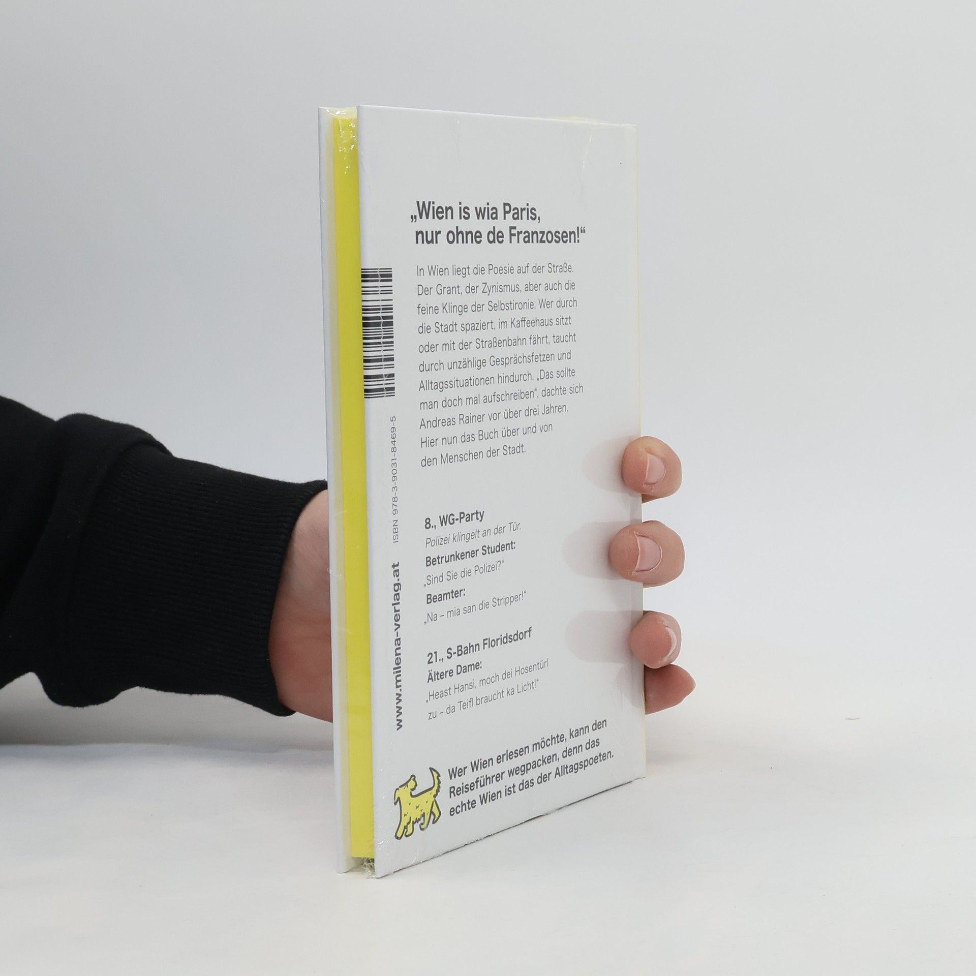 Andreas Rainer Wiener Alltags Poeten