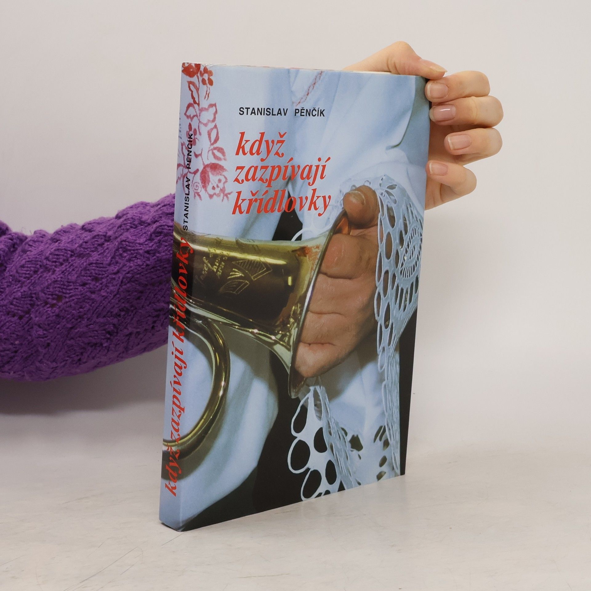Stanislav Pěnčík Když zazpívají křídlovky