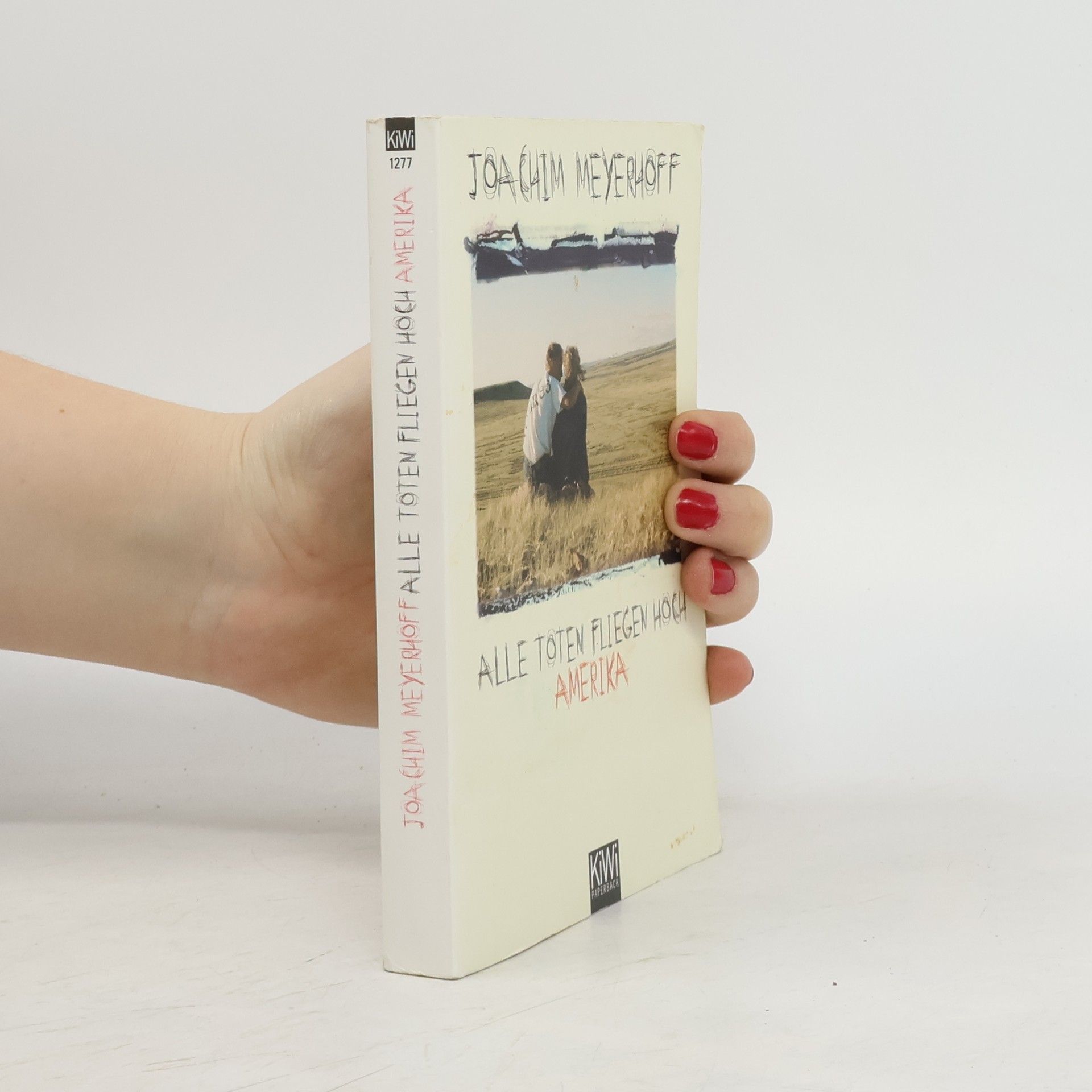 Joachim Meyerhoff Alle Toten fliegen hoch. Roman Teil 1, Amerika