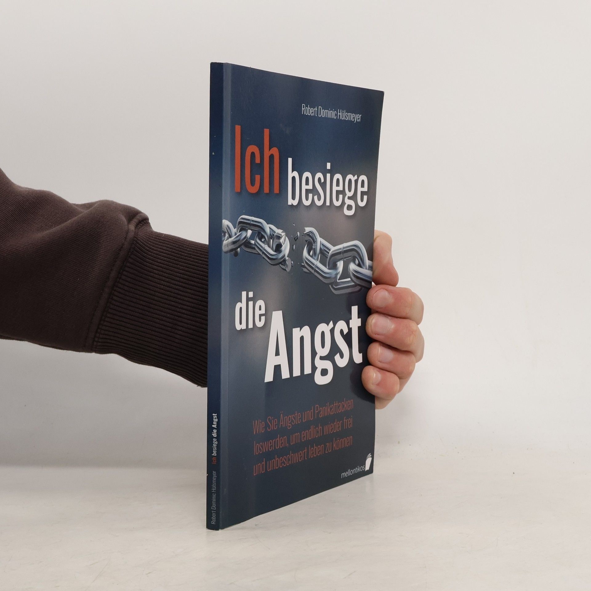 Robert Dominic Hülsmeyer Ich besiege die Angst