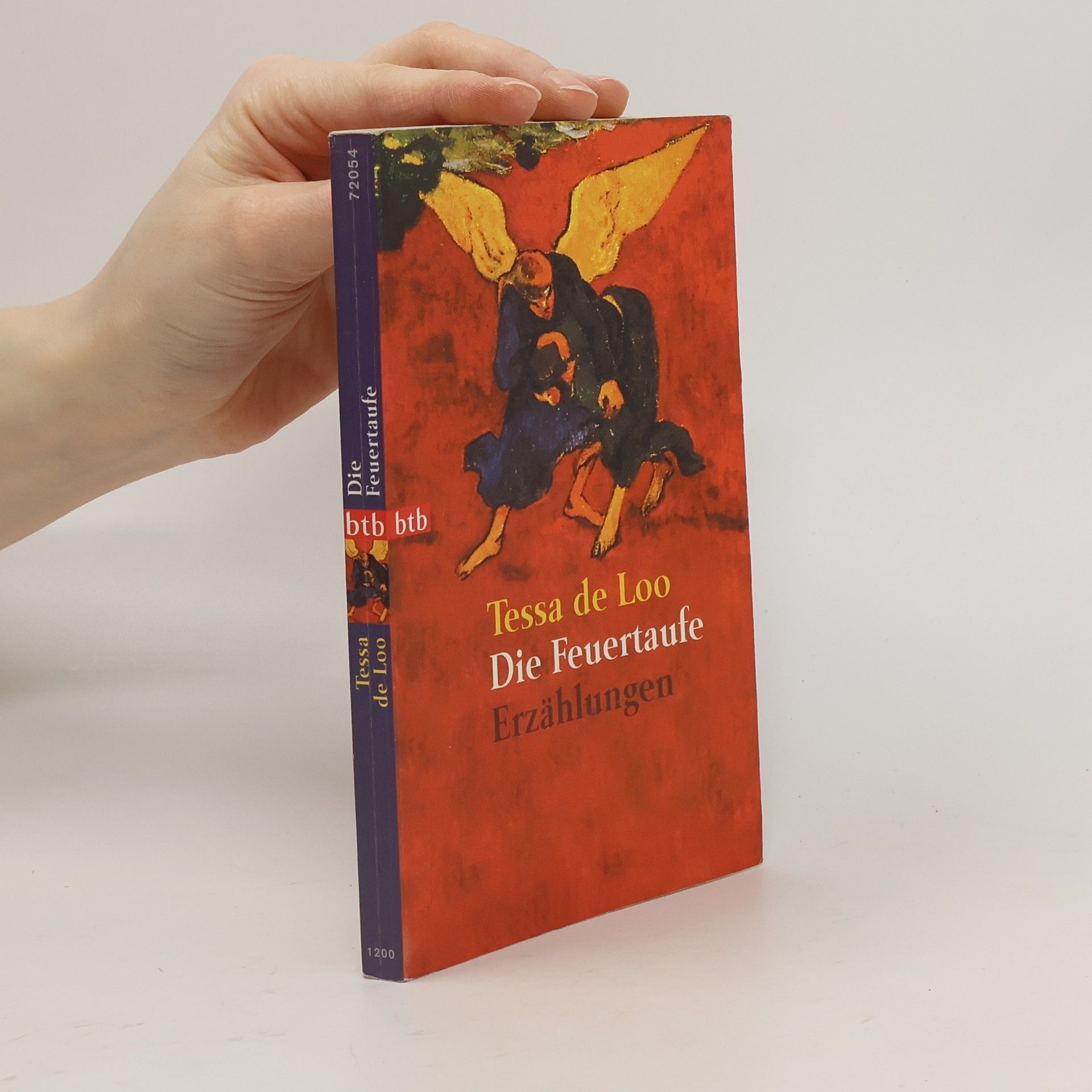 Tessa de Loo Die Feuertaufe. Erzählungen