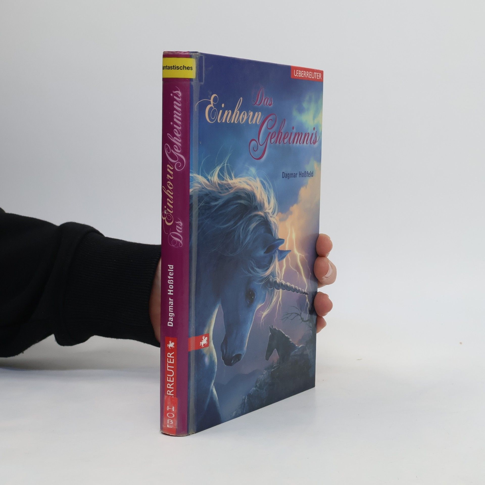 Dagmar Hoßfeld Das Einhorngeheimnis
