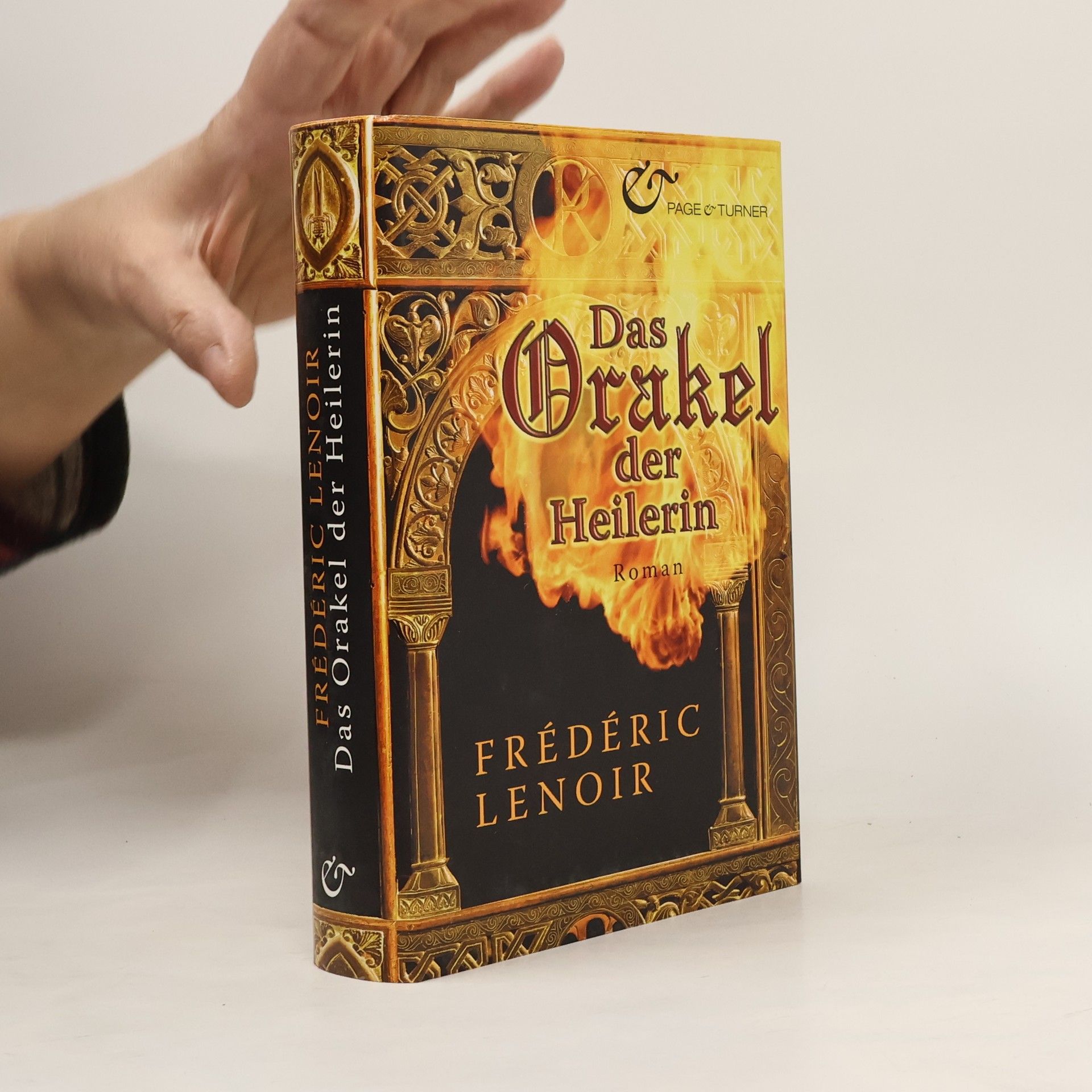 Frédéric Lenoir Das Orakel der Heilerin