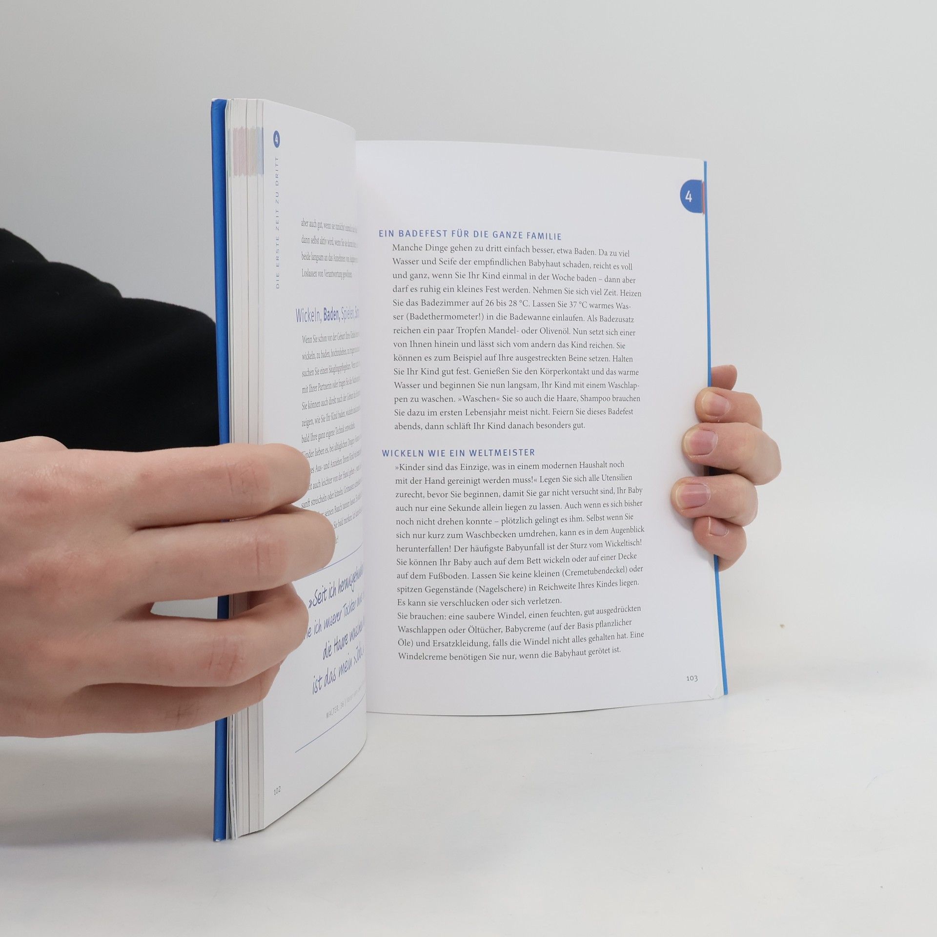 Robert Richter Das PAPA-handbuch