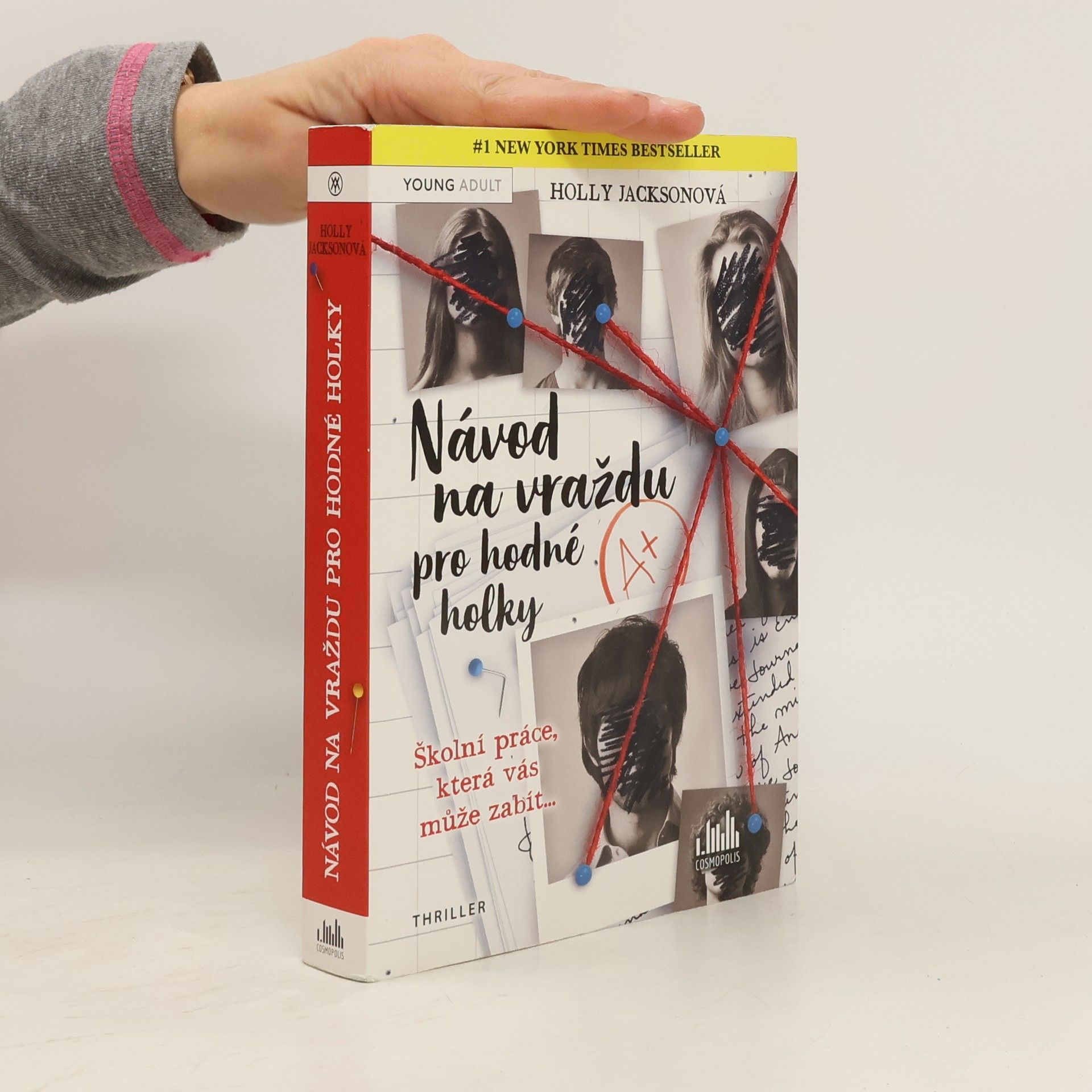 Holly Jackson Návod na vraždu pro hodné holky