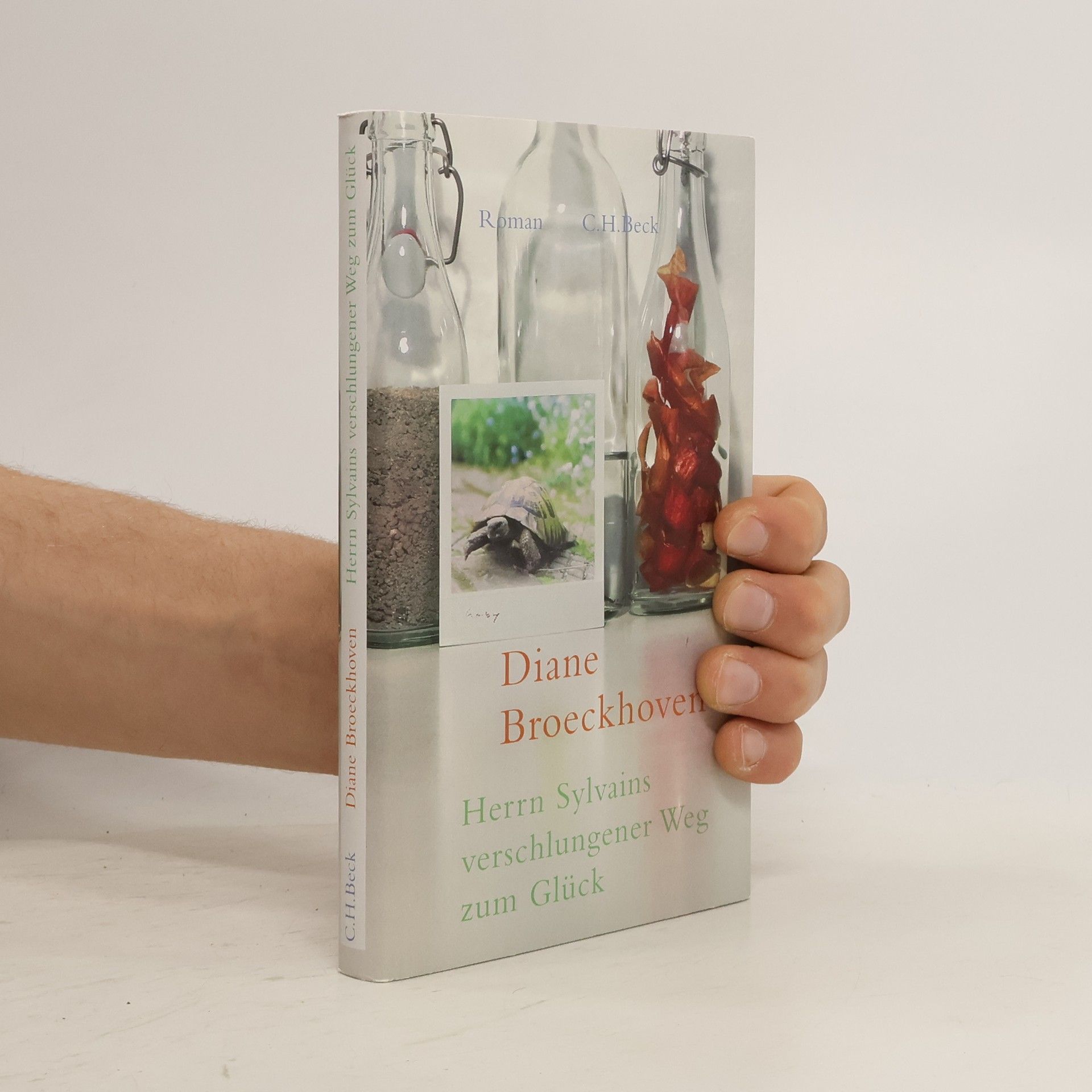 Diane Broeckhoven Herrn Sylvains verschlungener Weg zum Glück