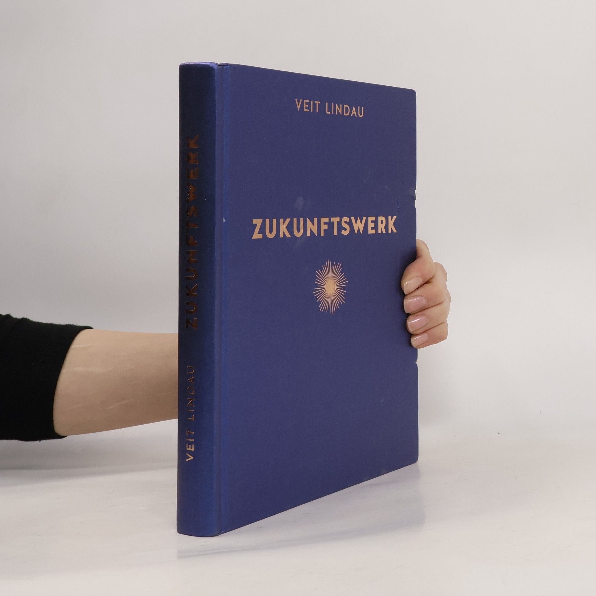 Veit Lindau Zukunftswerk