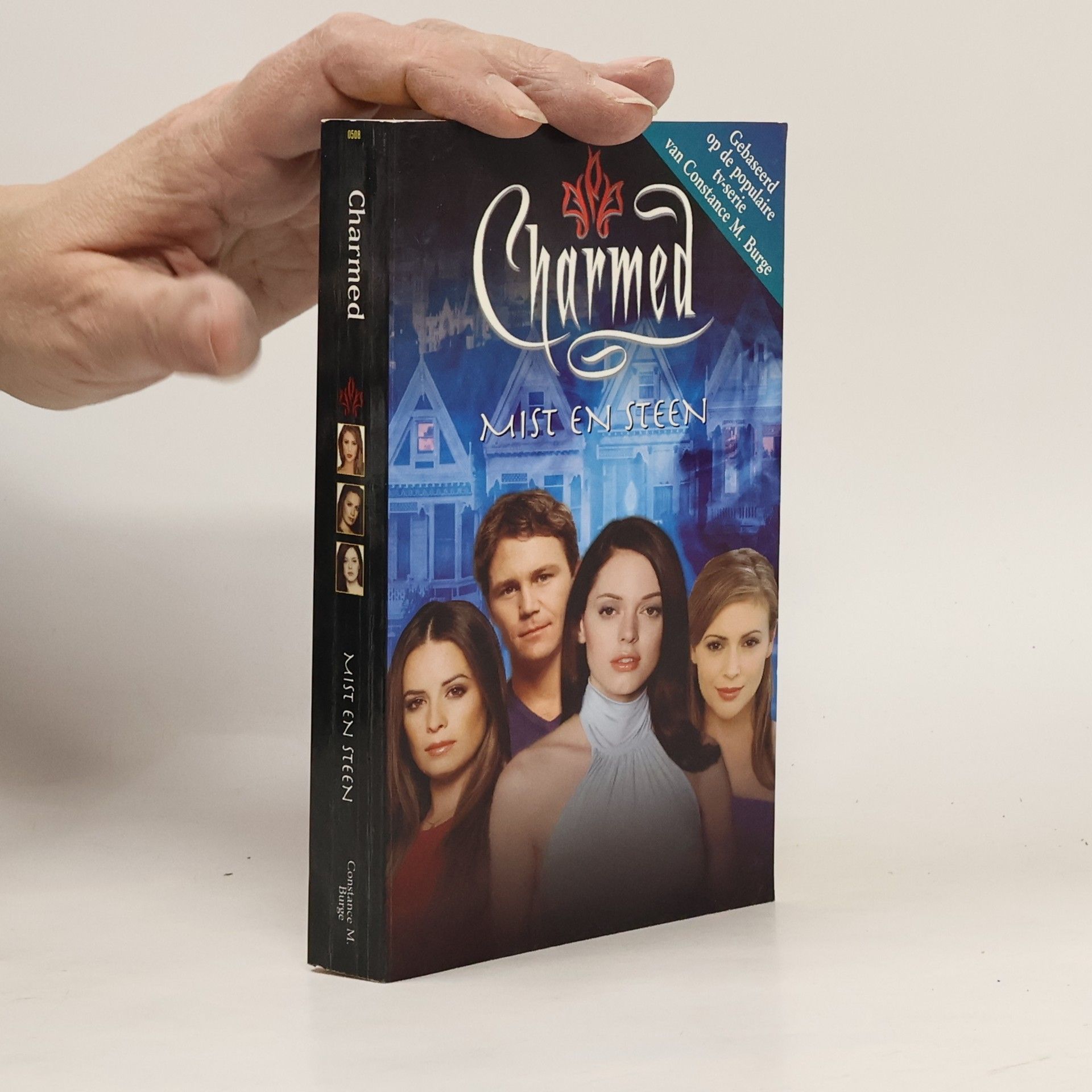 Constance M. Burge Charmed pockets - 8: Mist en steen