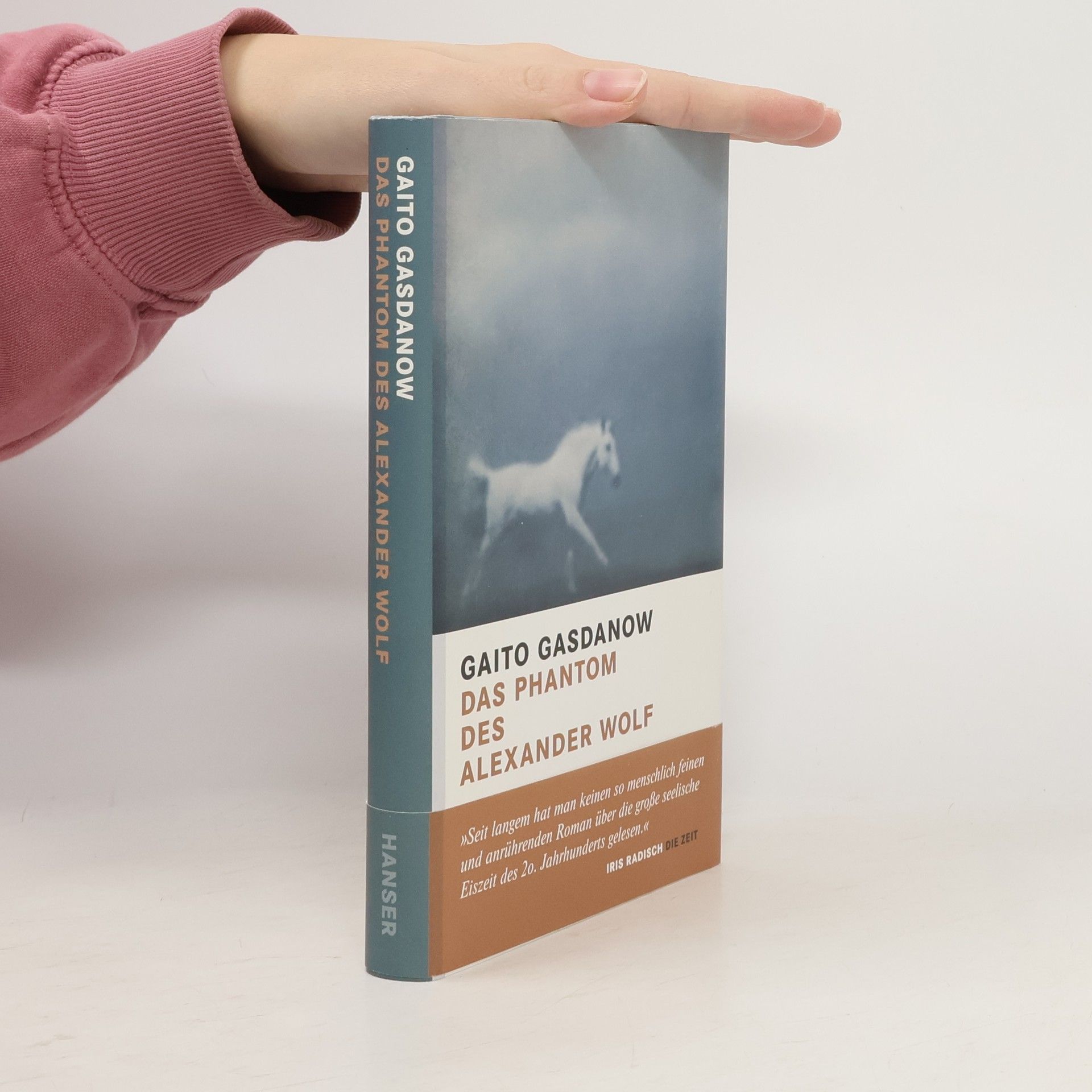Gaito Gazdanov Das Phantom des Alexander Wolf