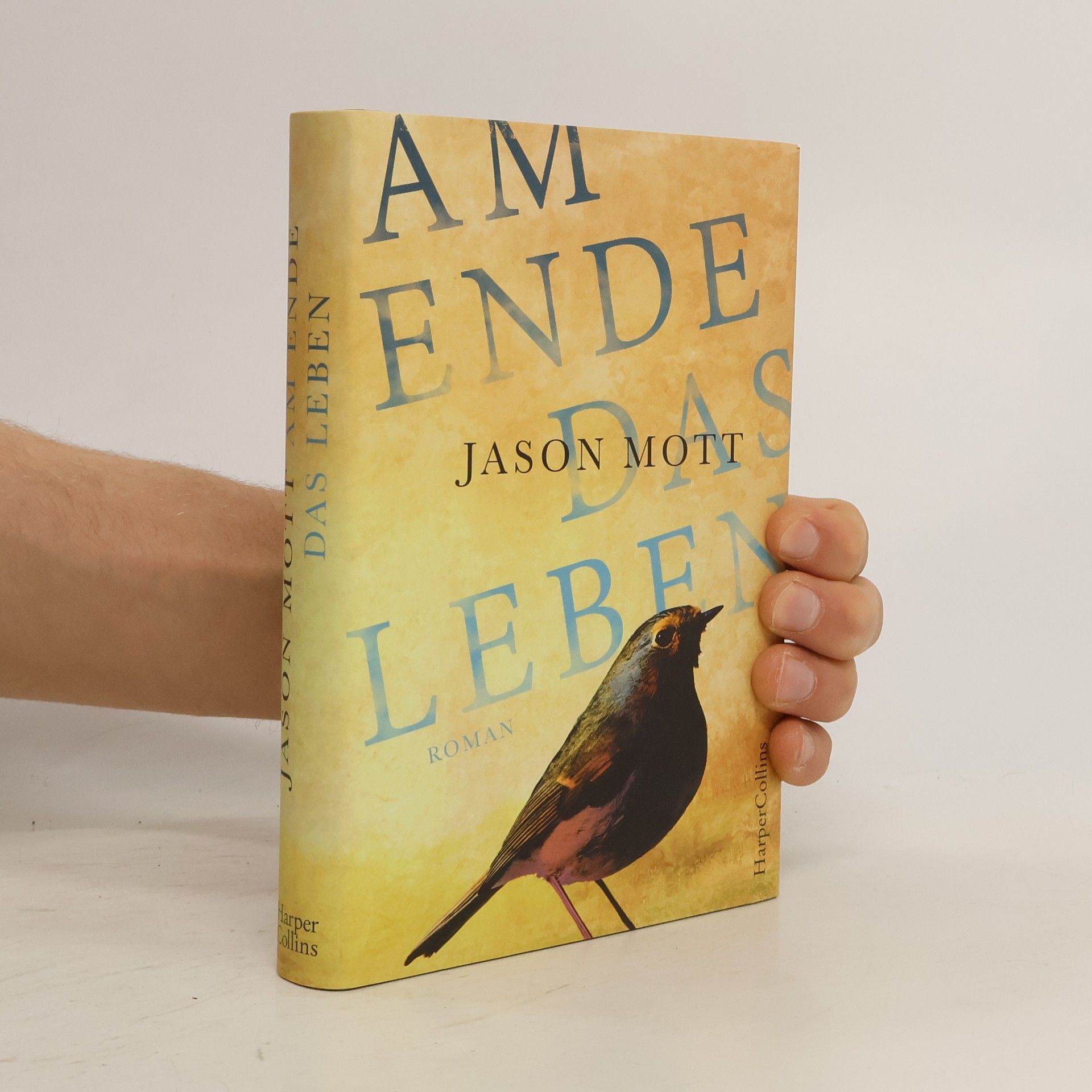 Jason Mott Am Ende das Leben