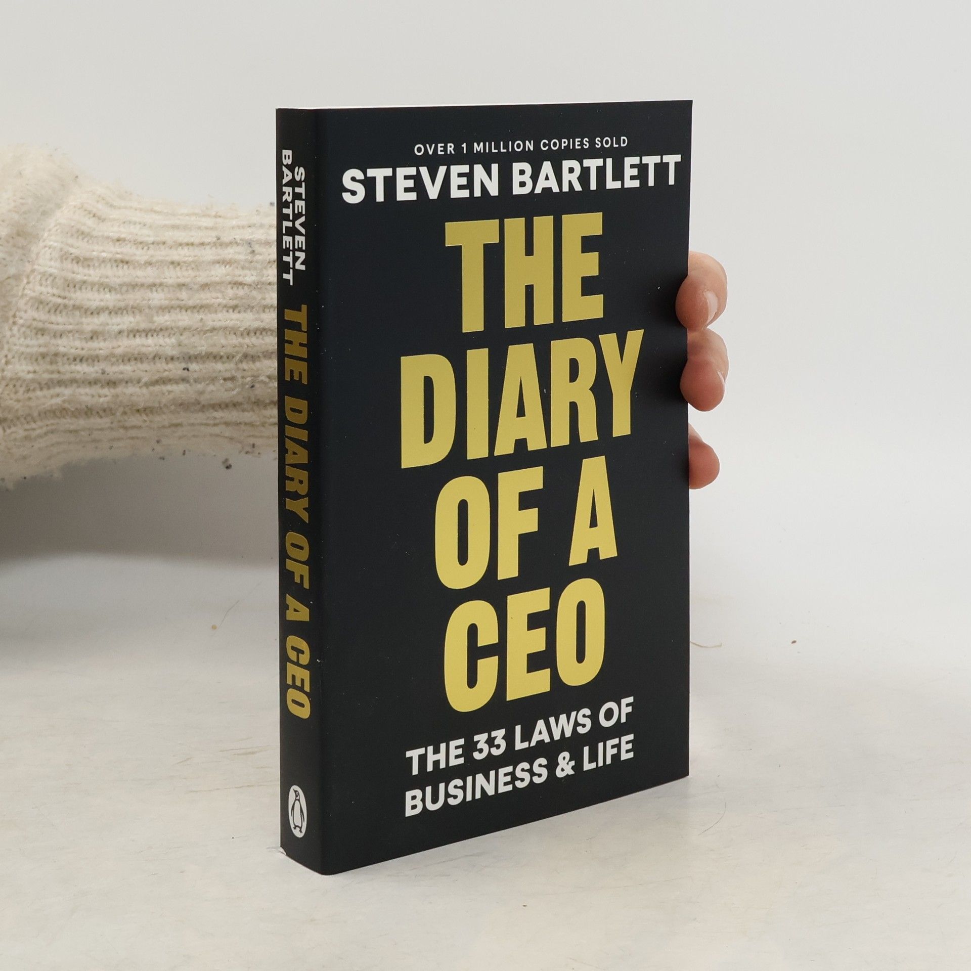 The Diary of a CEO