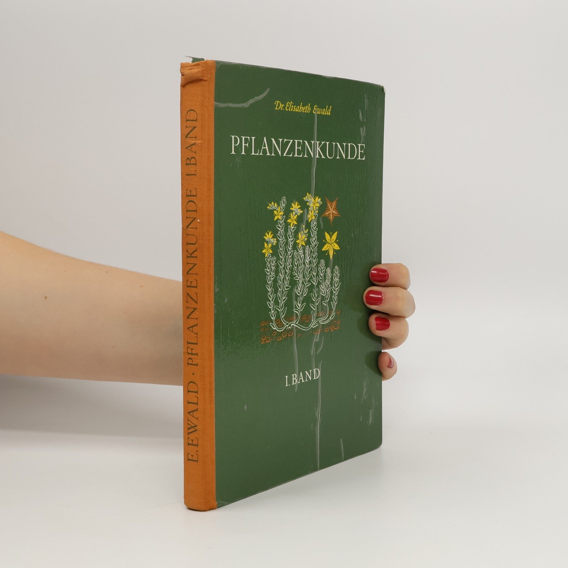 Elisabeth Ewald Pflanzenkunde I