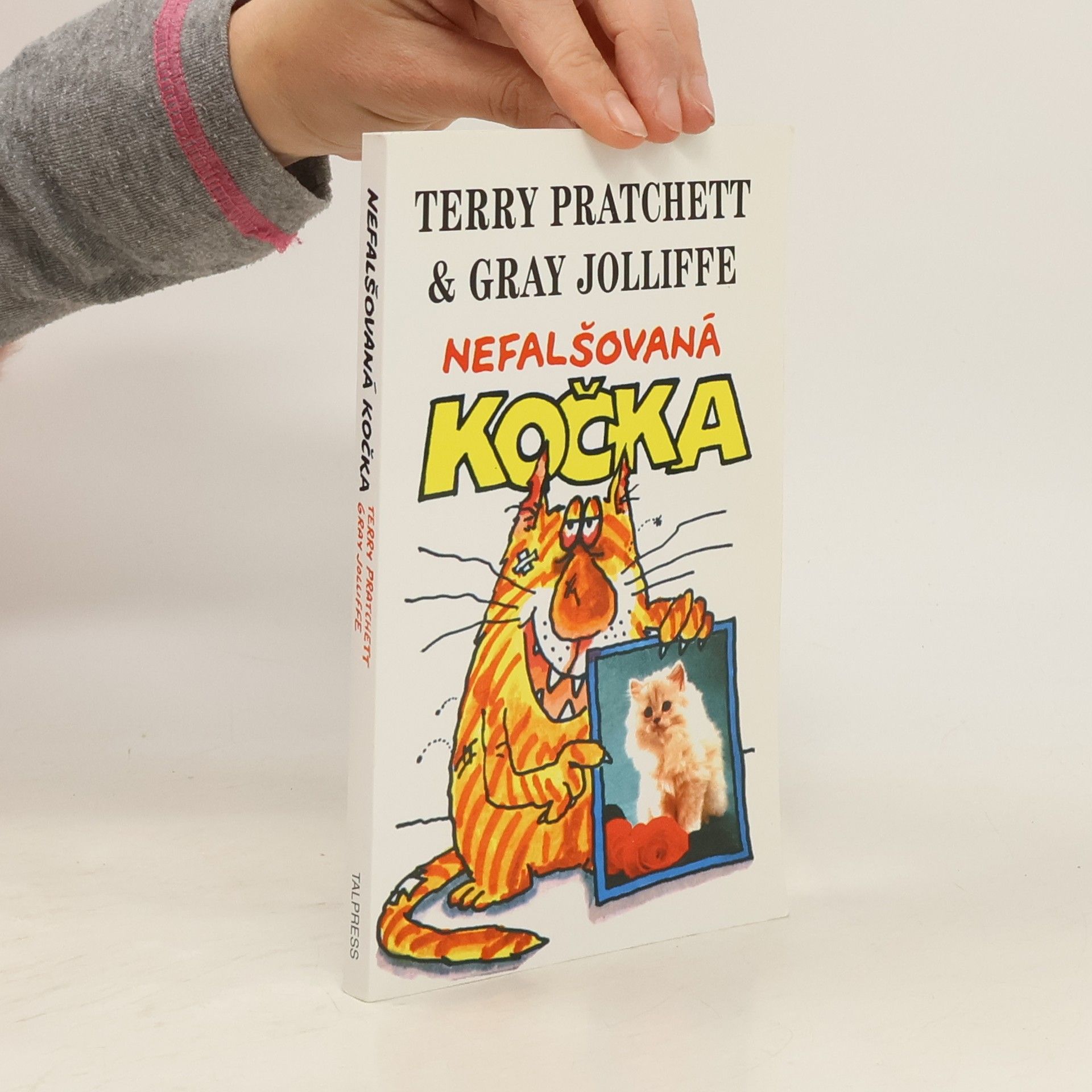 Terry Pratchett Nefalšovaná kočka