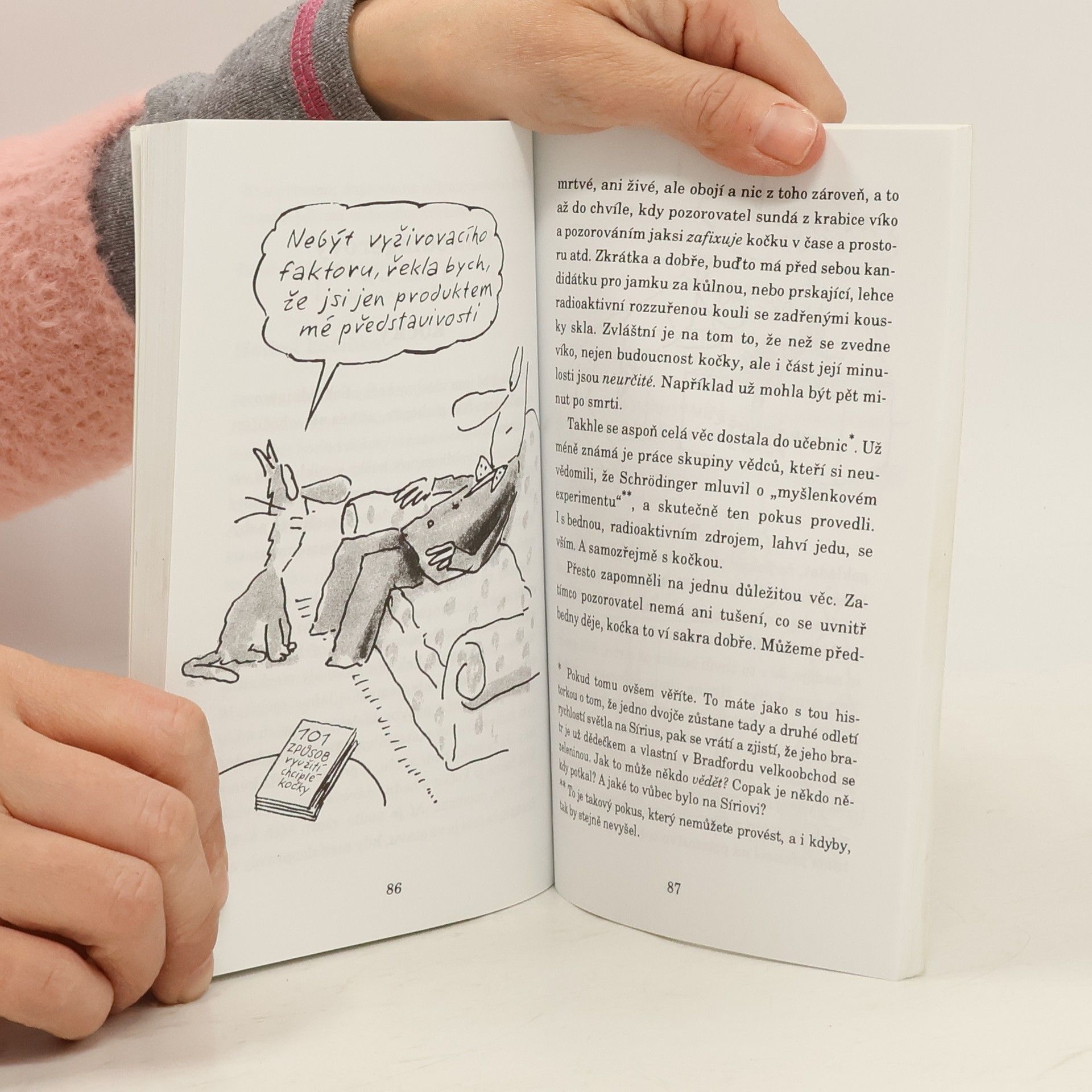 Terry Pratchett Nefalšovaná kočka