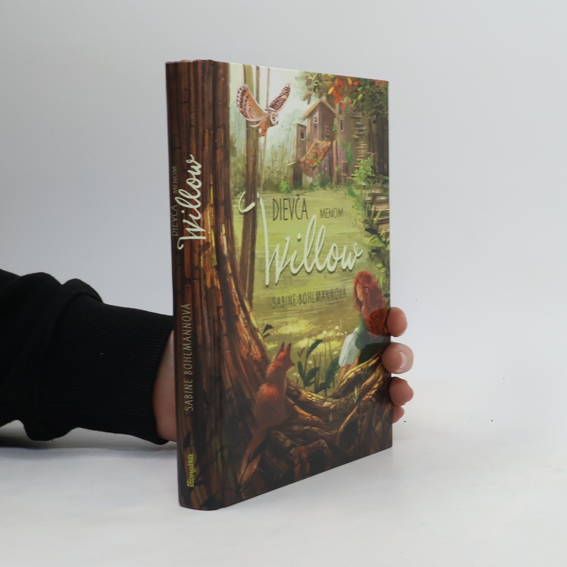 Sabine Bohlmann Dievča menom Willow