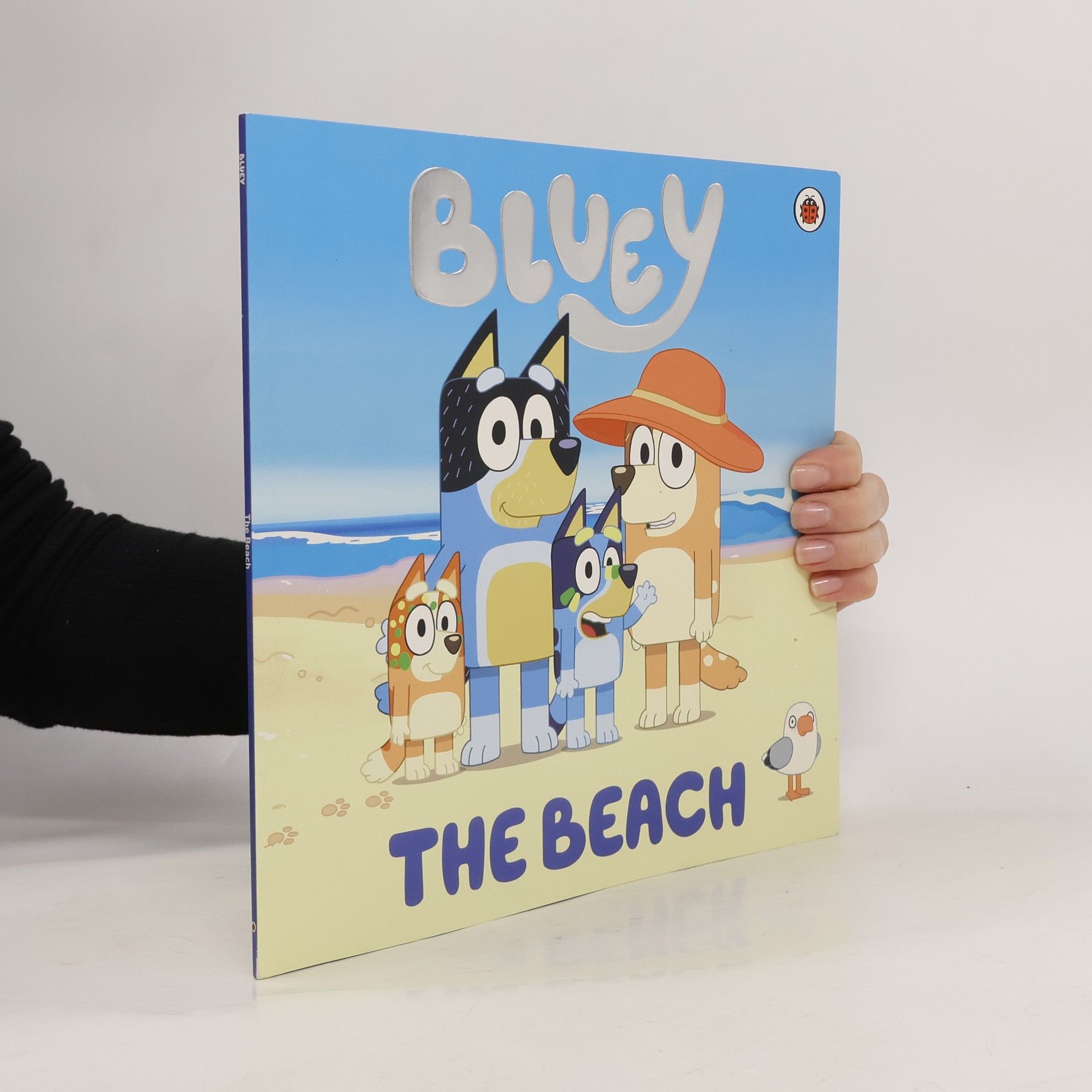 Bluey Bluey: The Beach