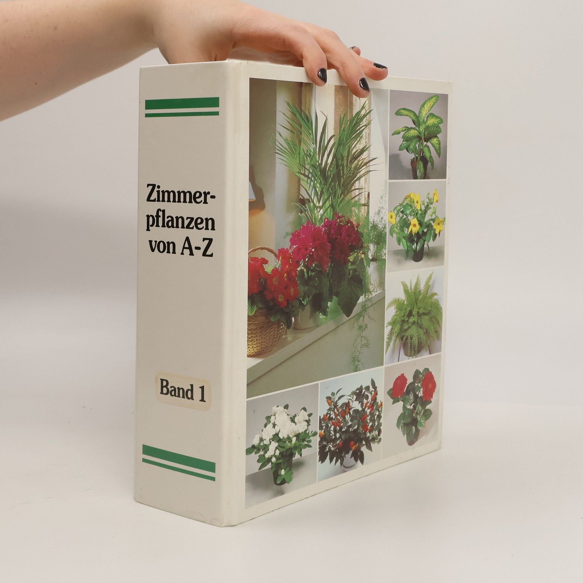 Autorenkollektiv Zimmerpflanzen von A-Z Band 1