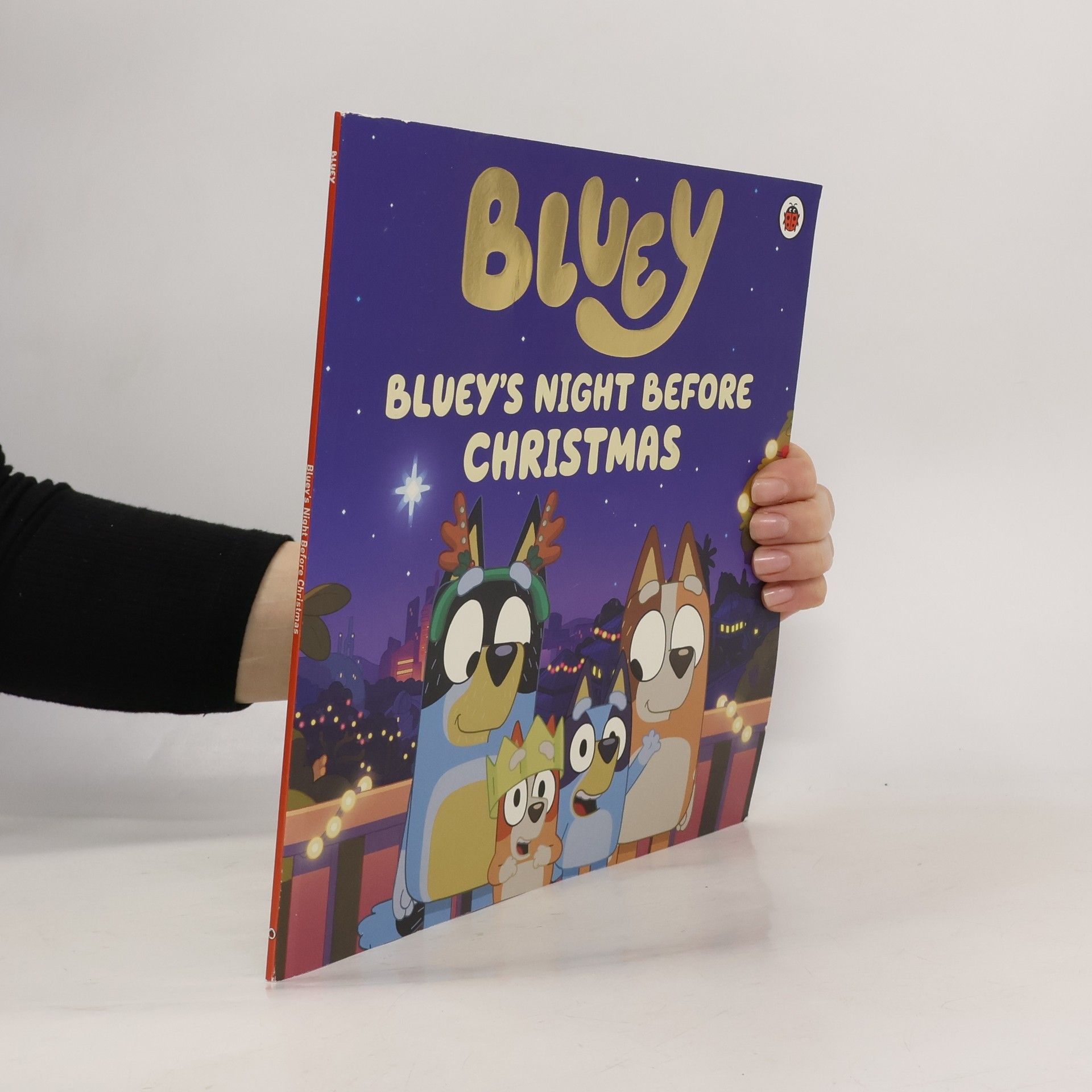 Bluey Bluey: Bluey's Night Before Christmas