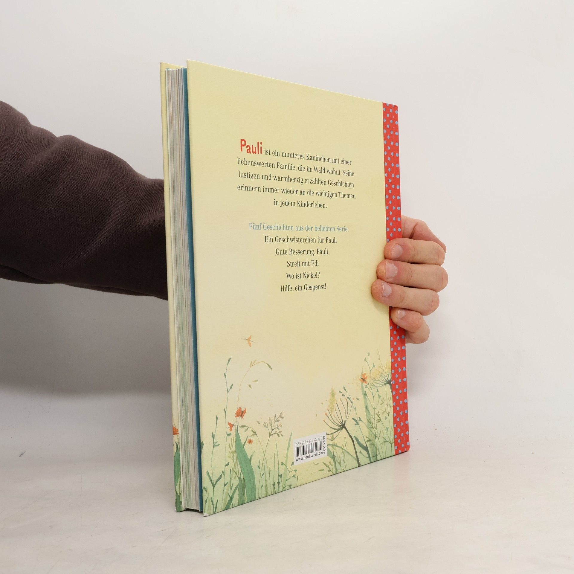 Brigitte Weninger Das große Buch von Pauli