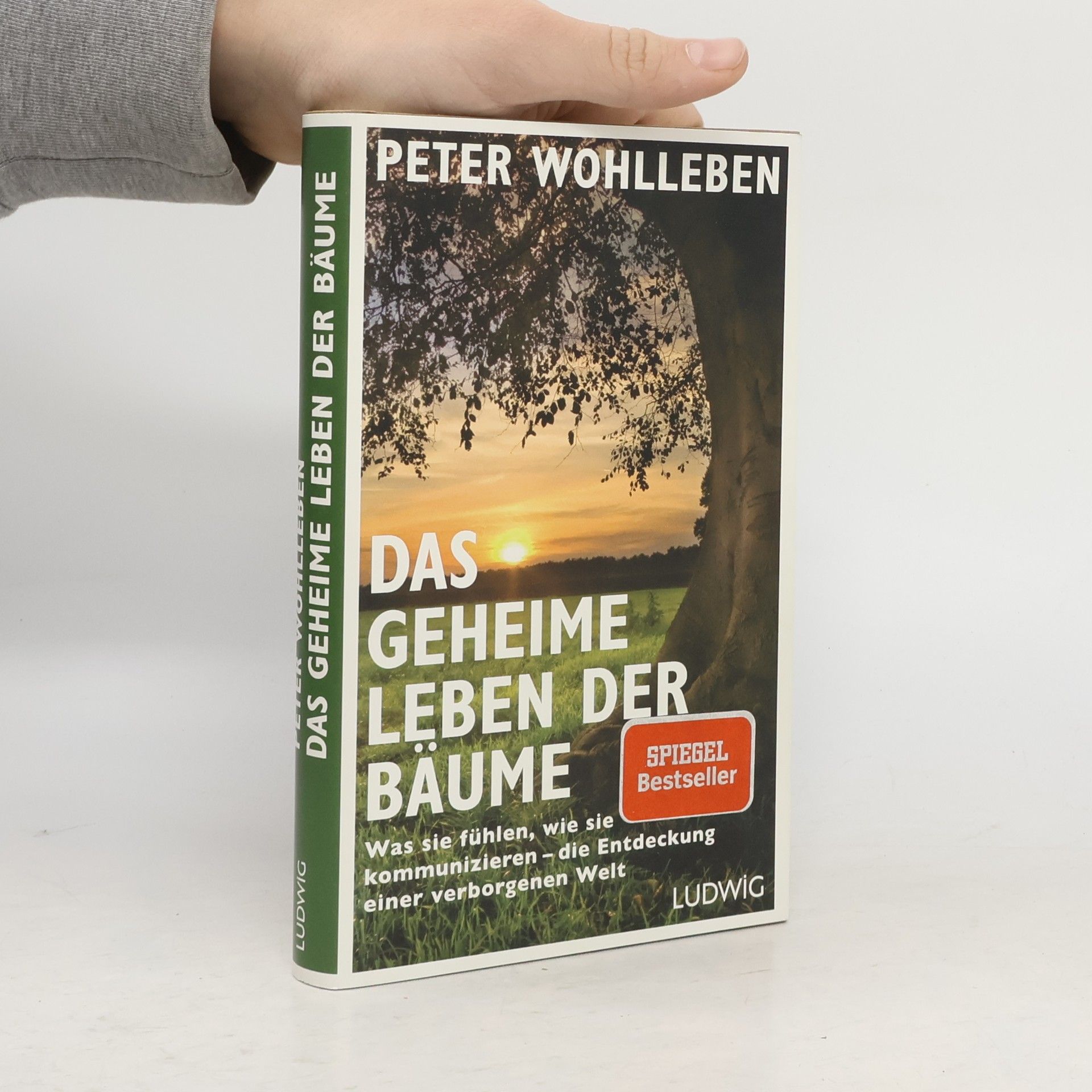 Peter Wohlleben Das geheime Leben der Bäume